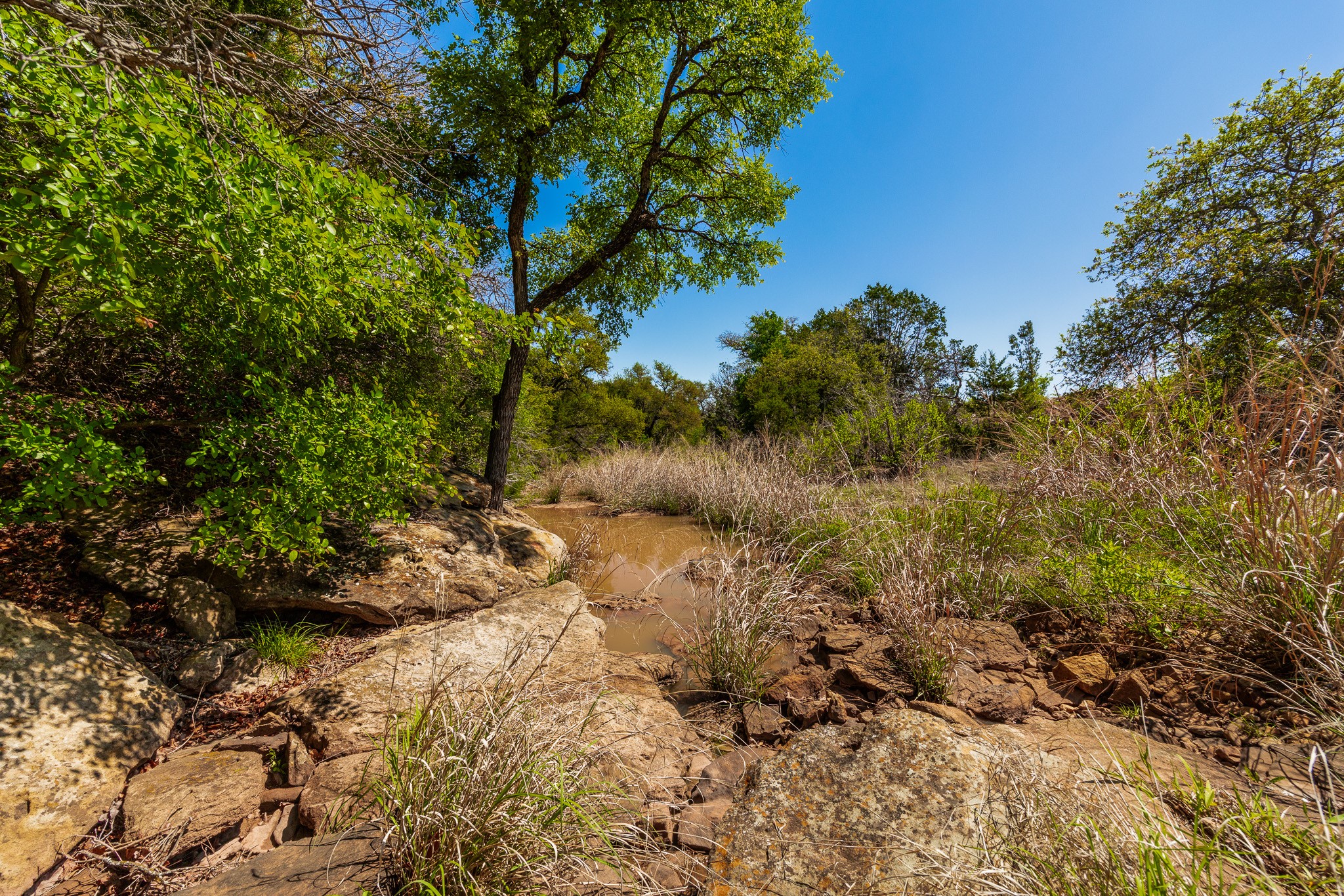 551 County Road 121 Coleman TX 76834