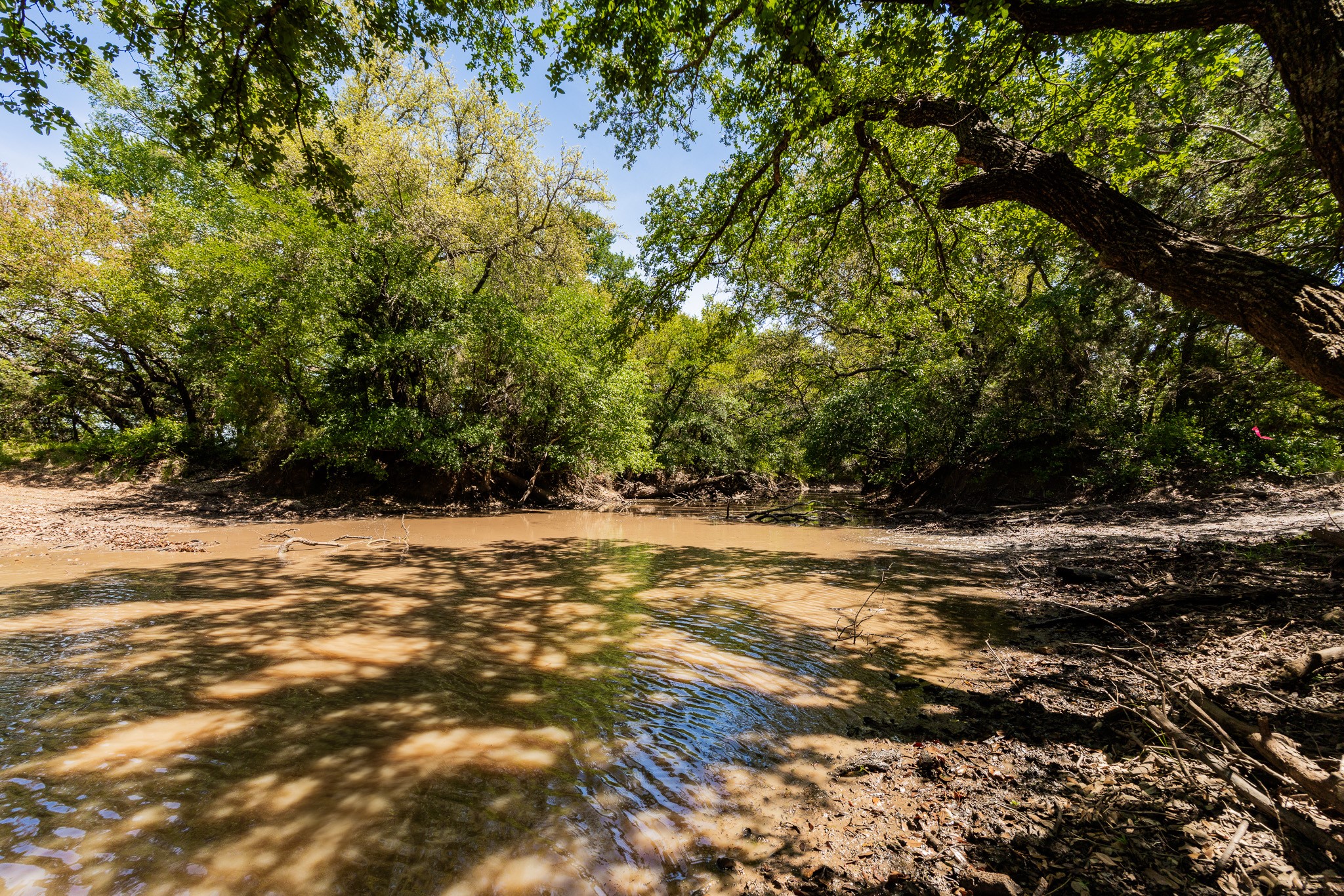 551 County Road 121 Coleman TX 76834