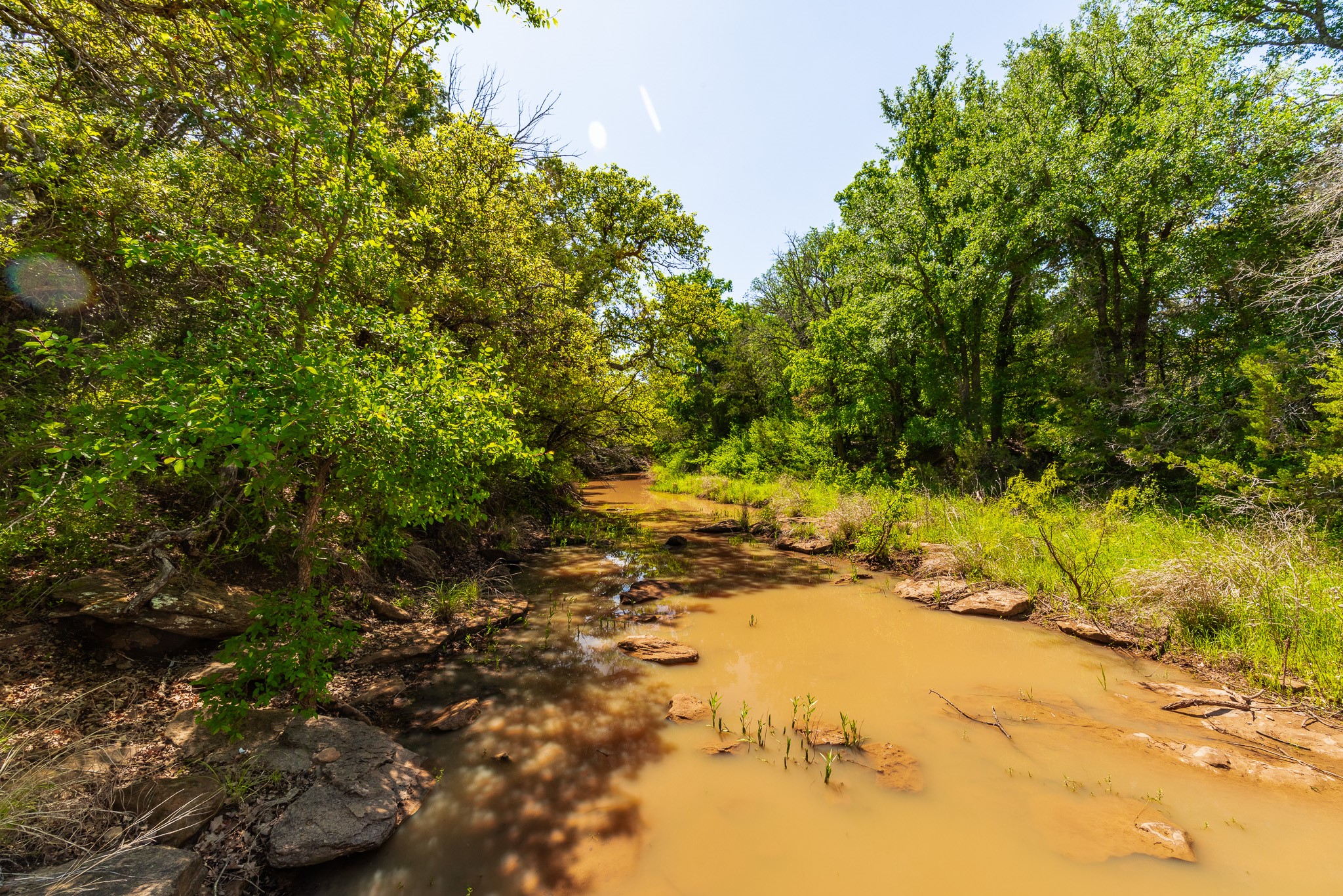 551 County Road 121 Coleman TX 76834