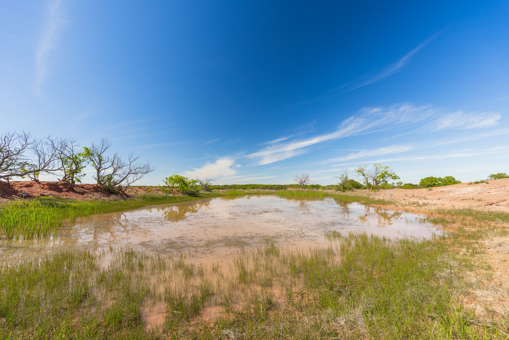 551 County Road 121 Coleman TX 76834