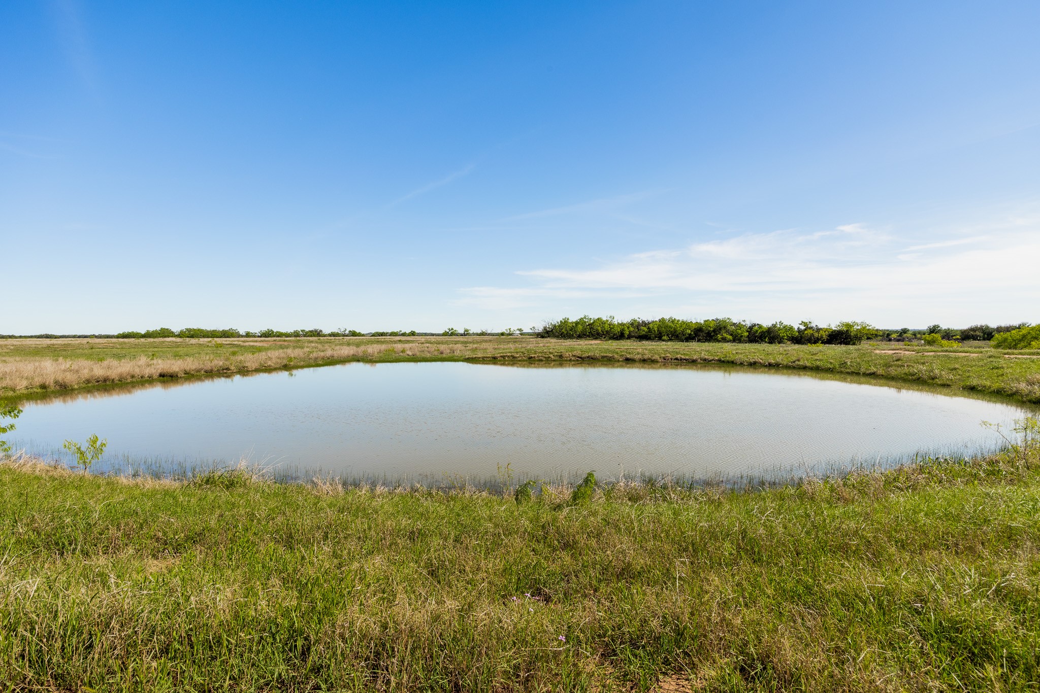 551 County Road 121 Coleman TX 76834
