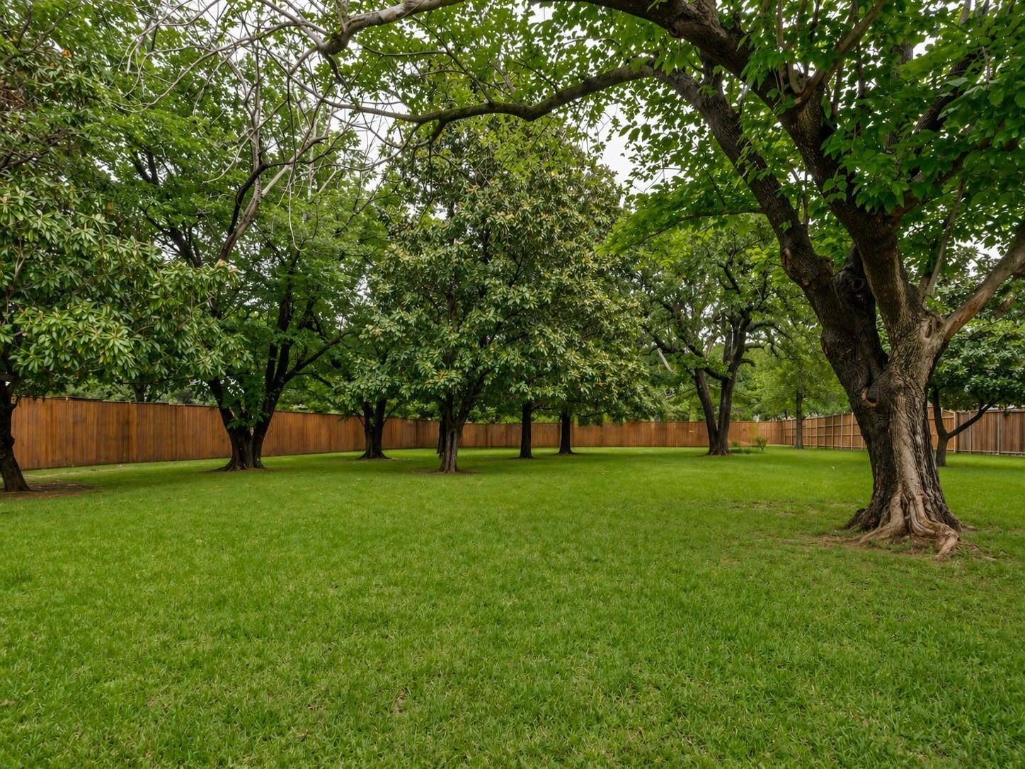 6805 Herbert Road Colleyville TX 76034