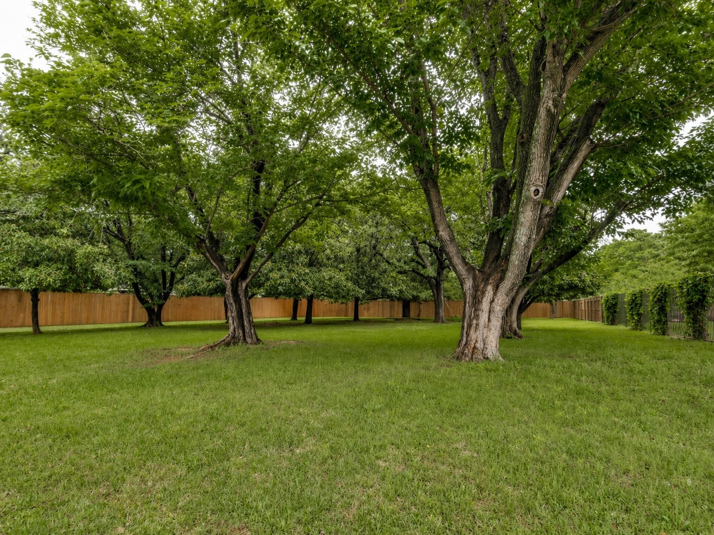 6805 Herbert Road Colleyville TX 76034