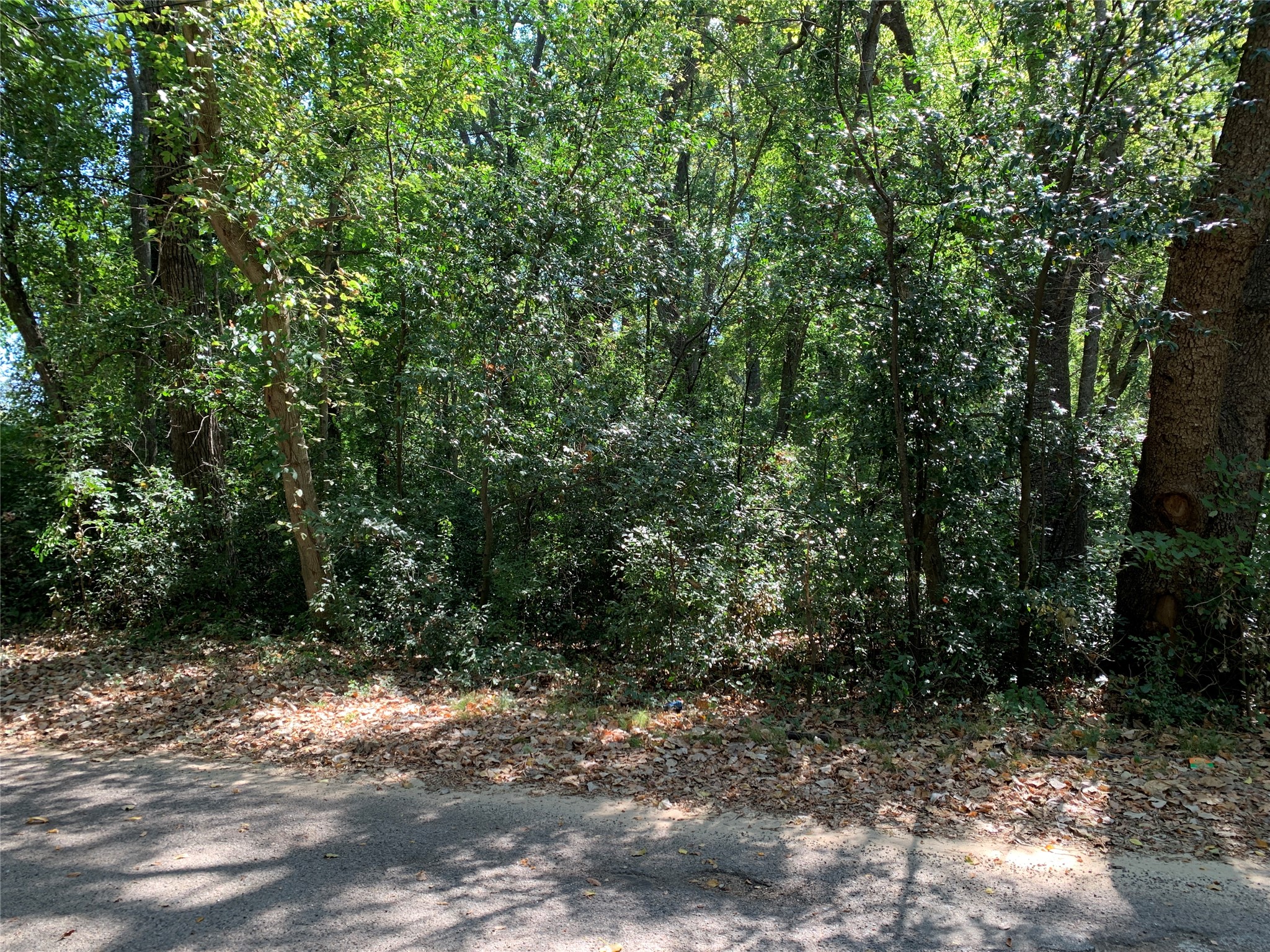 516 Chase Street Athens TX 75751