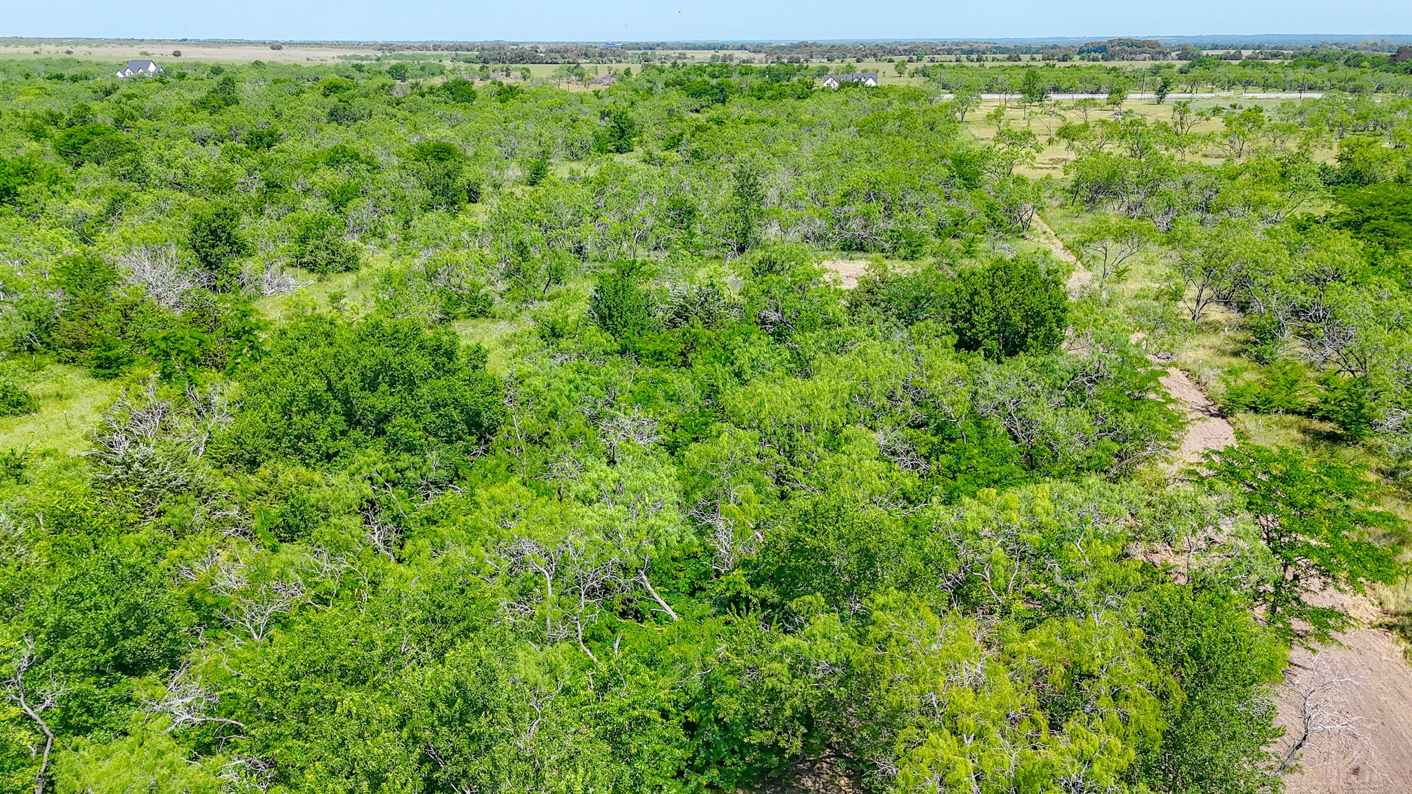 Lot 75 Palmito Ranch Road Corsicana TX 75110