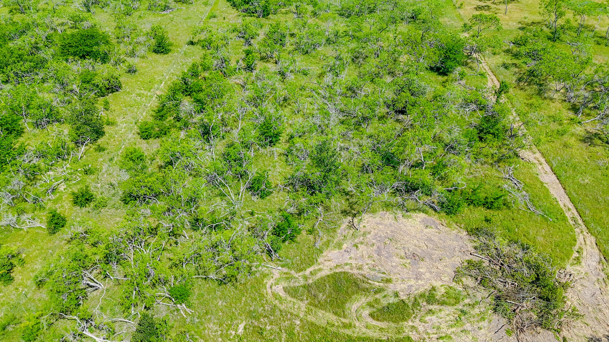Lot 75 Palmito Ranch Road Corsicana TX 75110