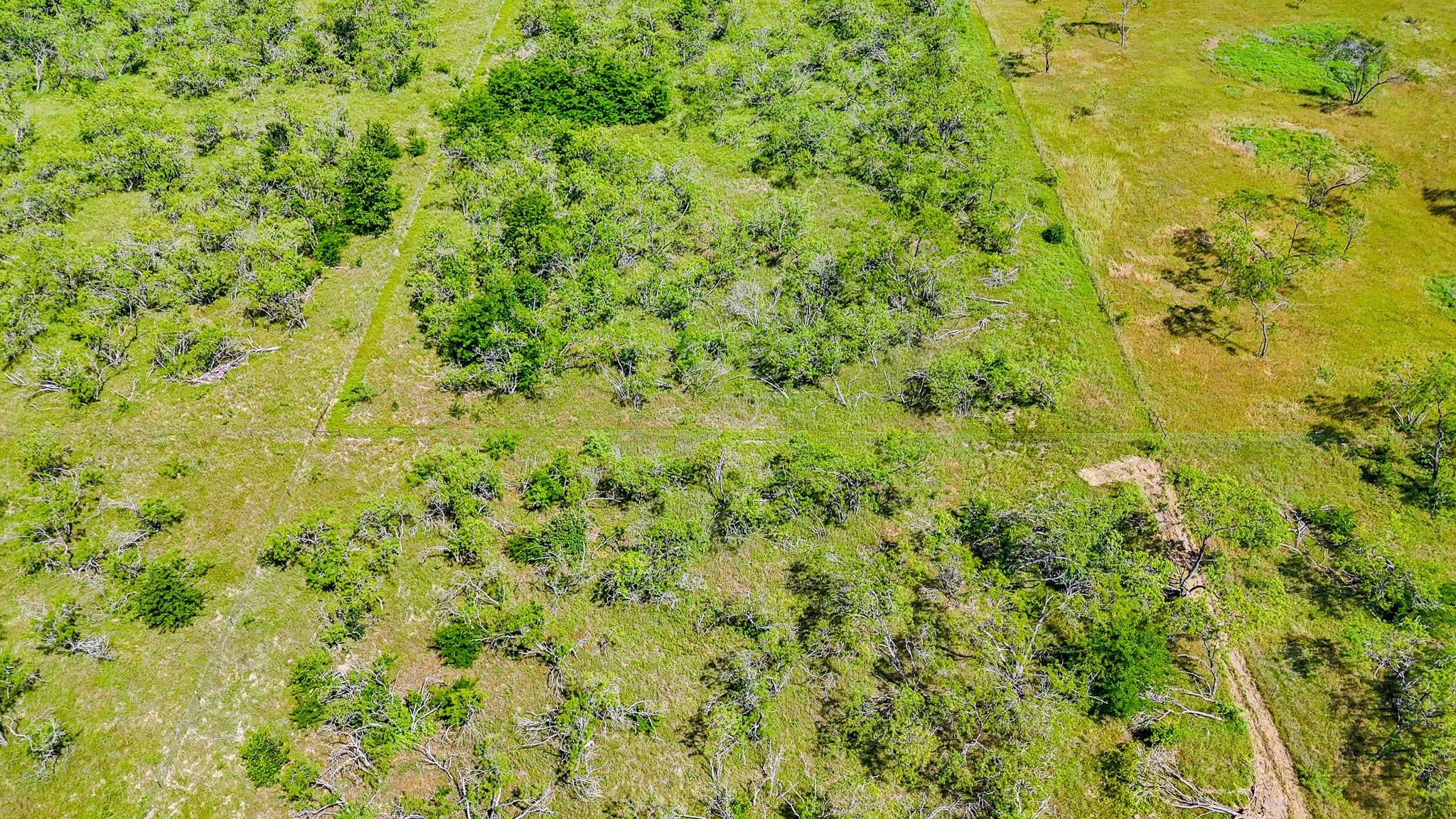 Lot 75 Palmito Ranch Road Corsicana TX 75110