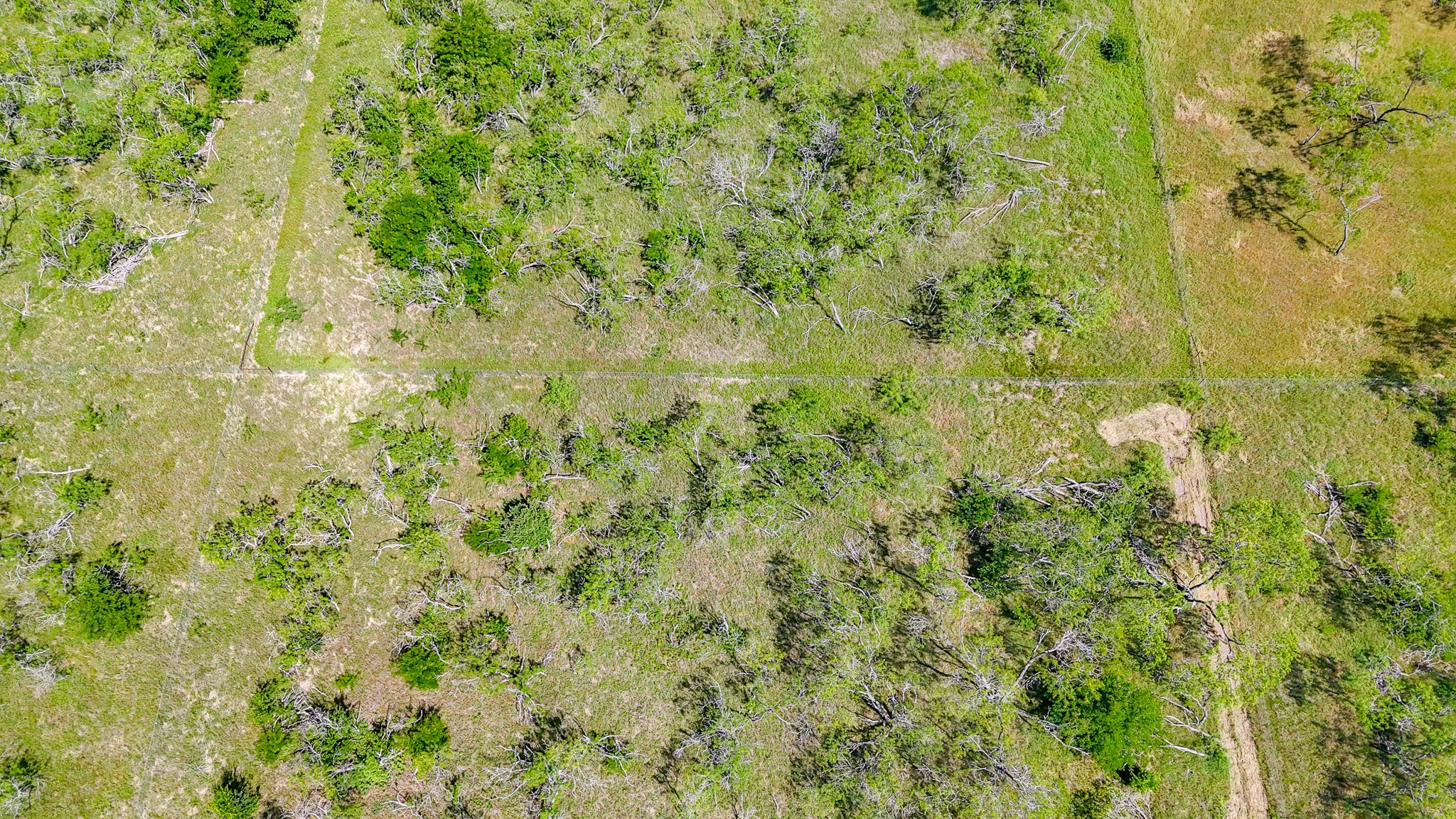Lot 75 Palmito Ranch Road Corsicana TX 75110