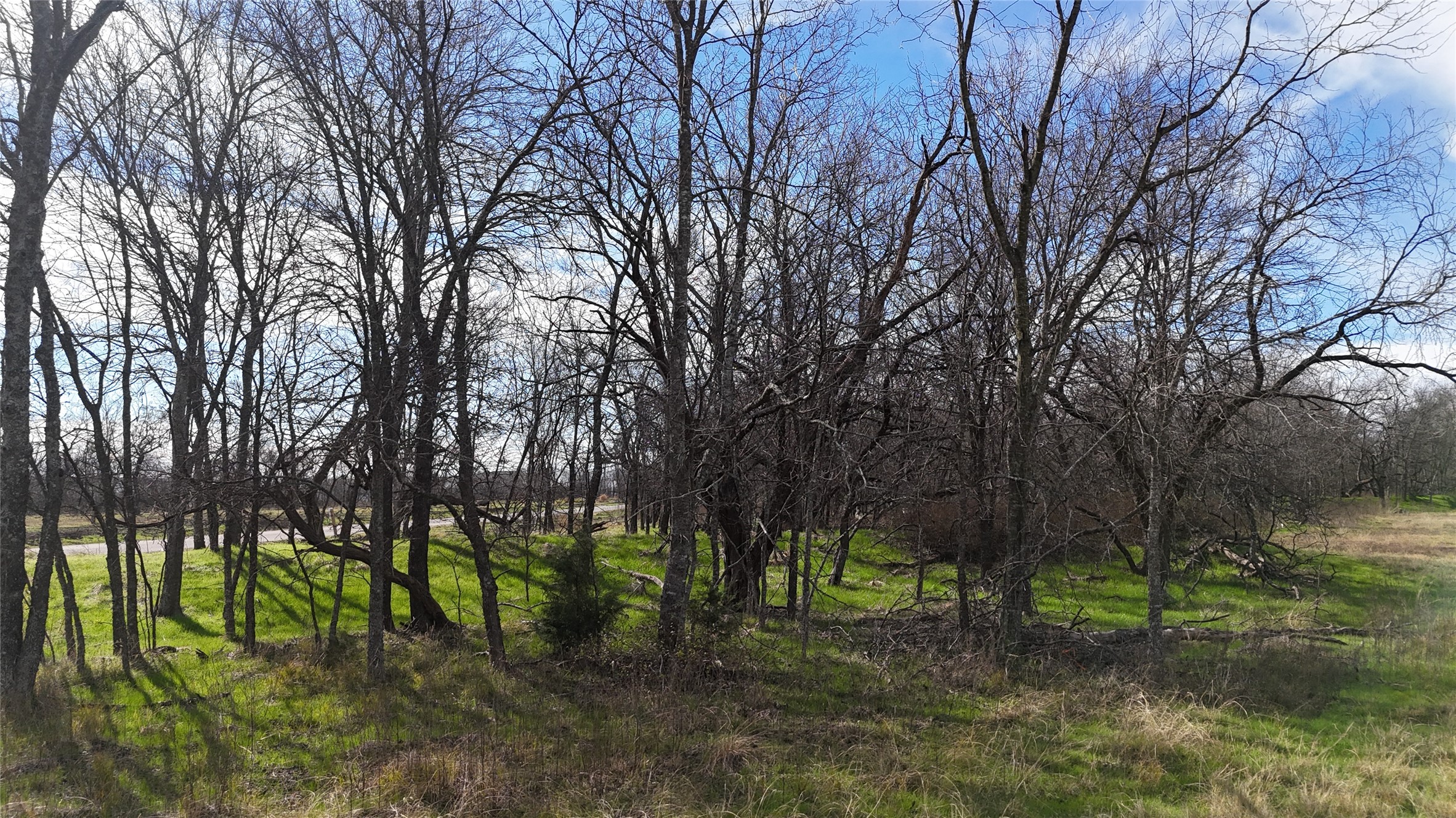 L21 Camp Fleming Court Corsicana TX 75109