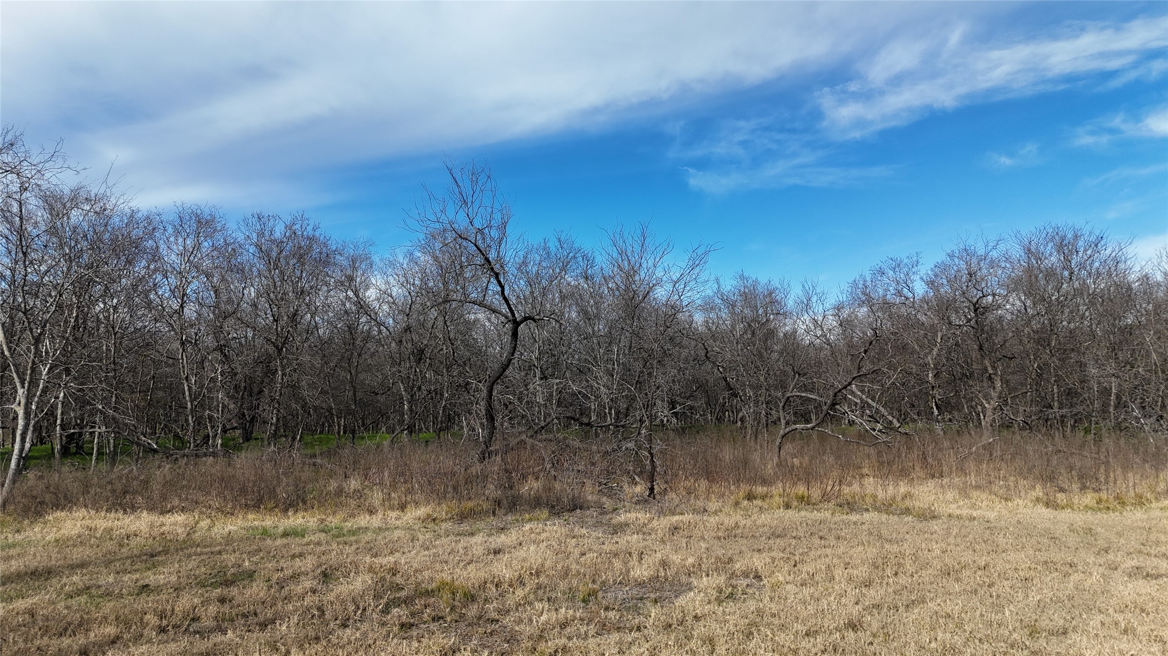 L21 Camp Fleming Court Corsicana TX 75109