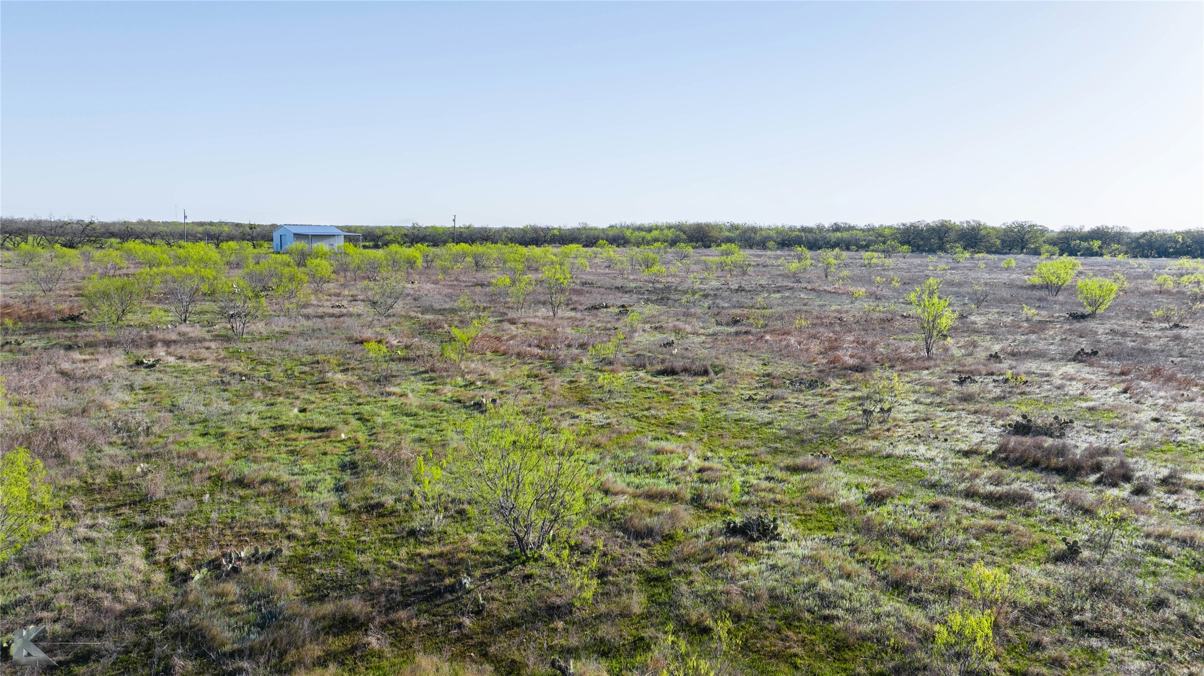 1216 County Road 164 Eastland TX 76448