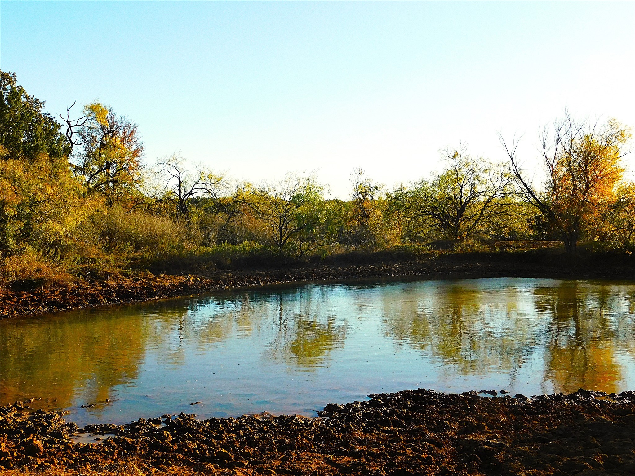 Tbd County Road 131 Brownwood TX 76801
