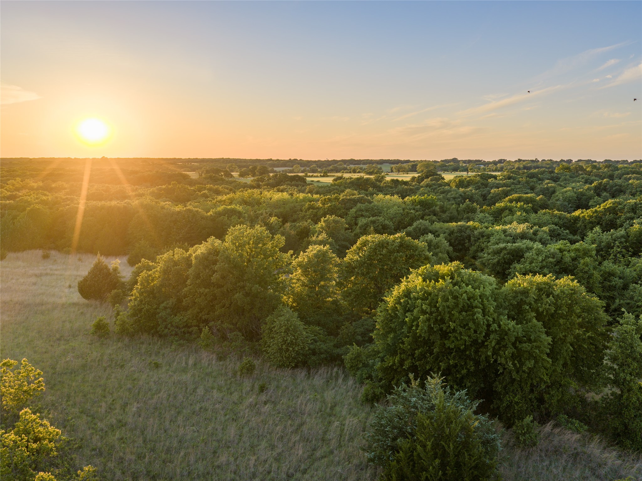 Tbd Farm To Market Road 1956 Nocona TX 76255