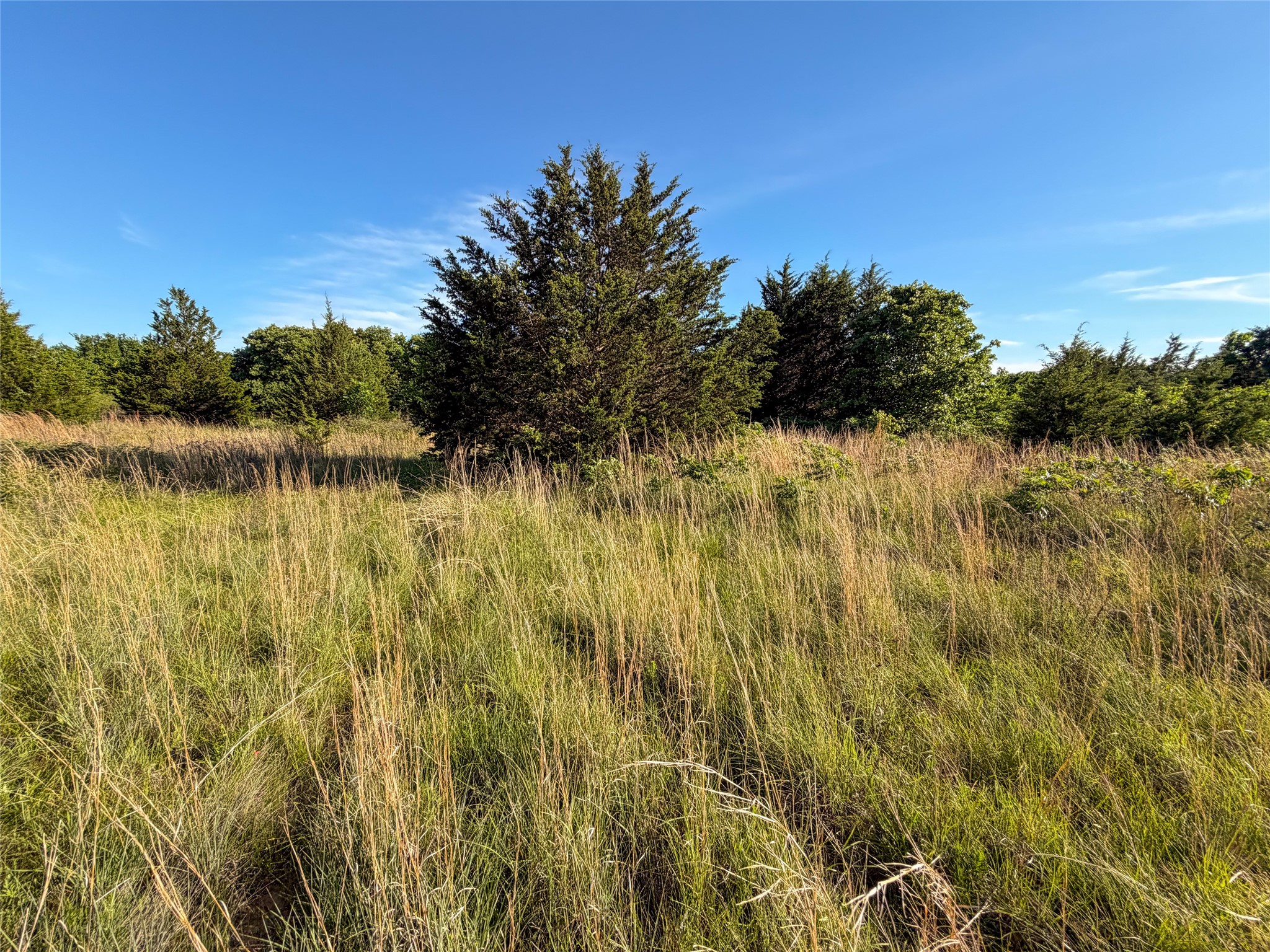 Tbd Farm To Market Road 1956 Nocona TX 76255