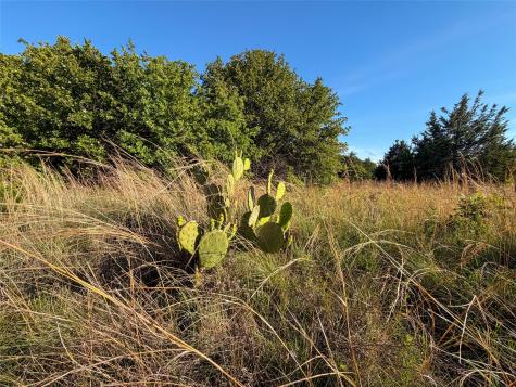 Tbd Farm To Market Road 1956 Nocona TX 76255