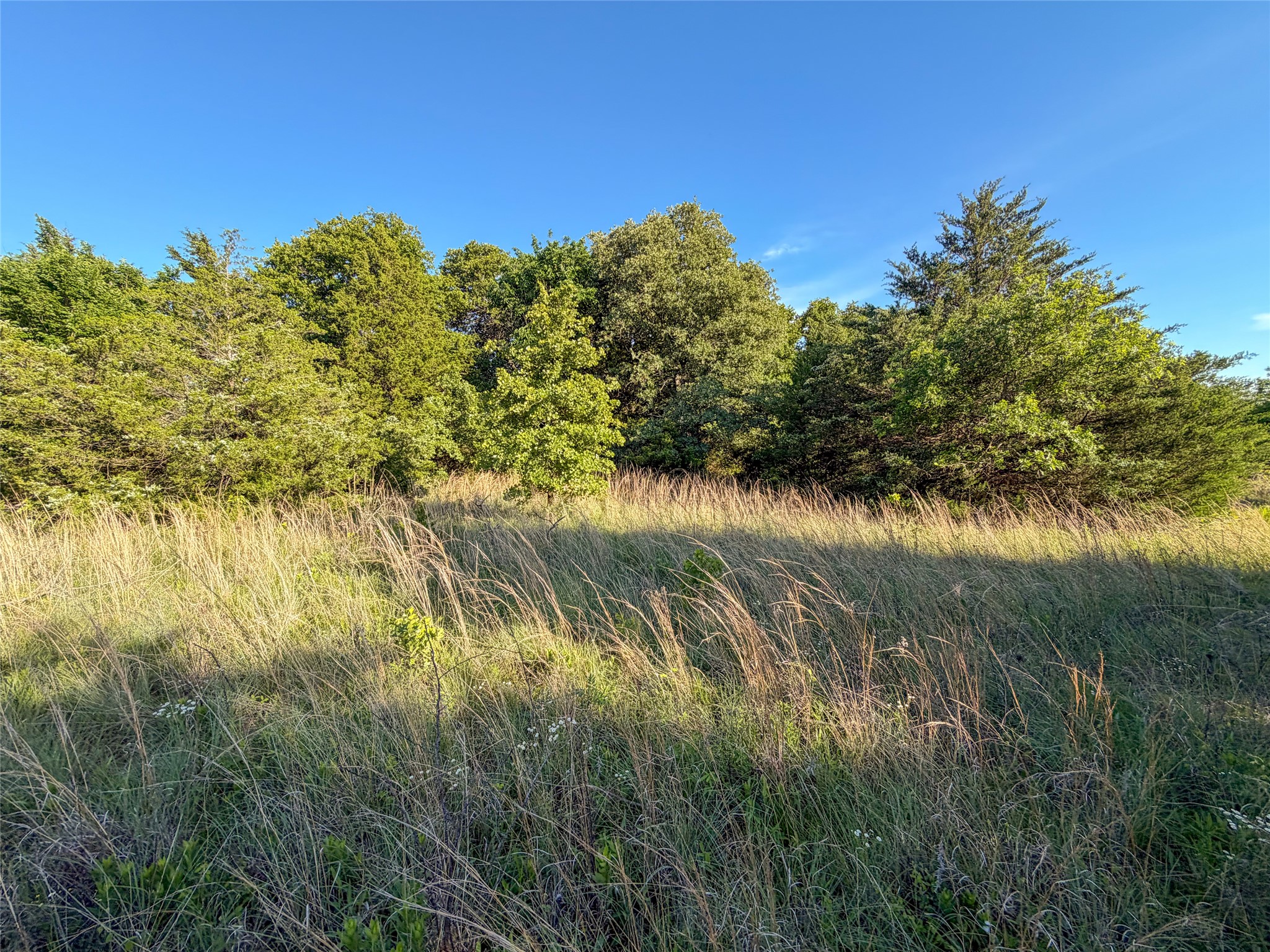 Tbd Farm To Market Road 1956 Nocona TX 76255