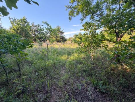 Tbd Farm To Market Road 1956 Nocona TX 76255