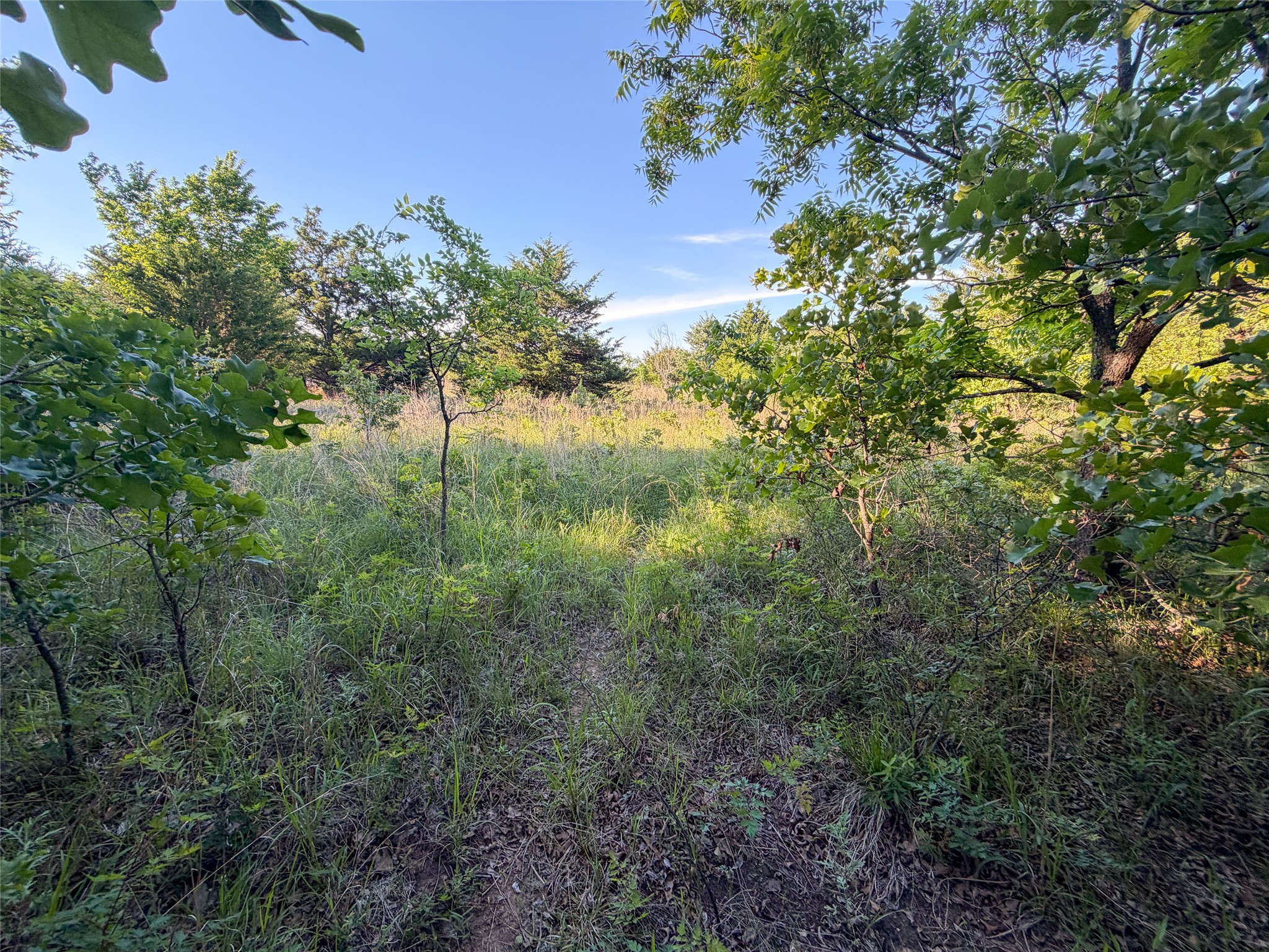 Tbd Farm To Market Road 1956 Nocona TX 76255
