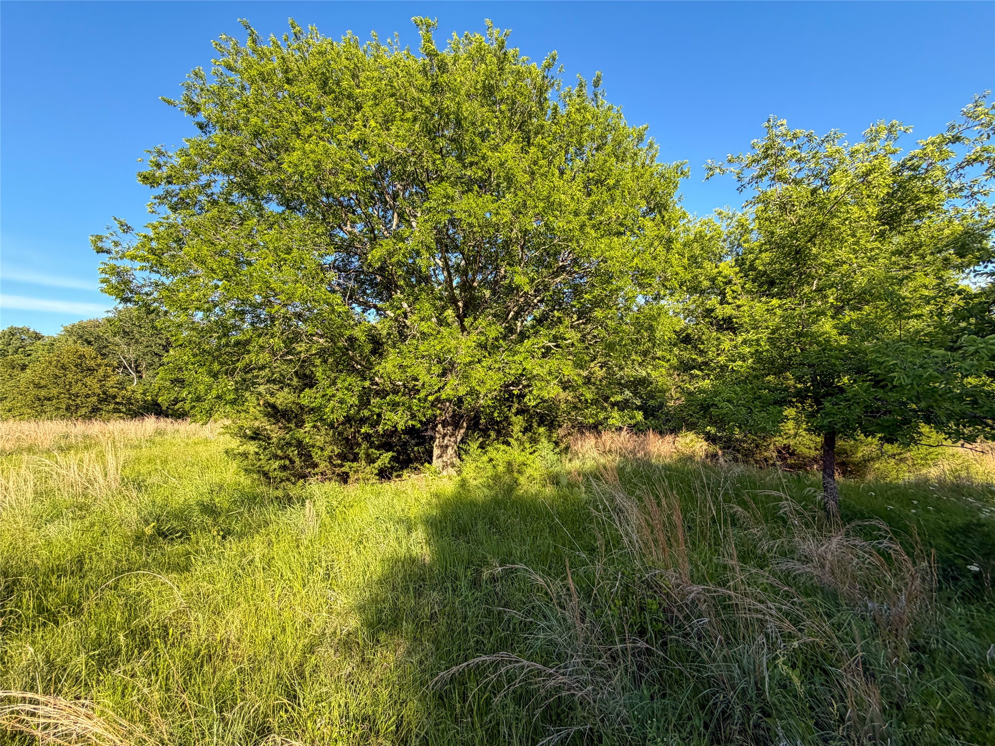 Tbd Farm To Market Road 1956 Nocona TX 76255