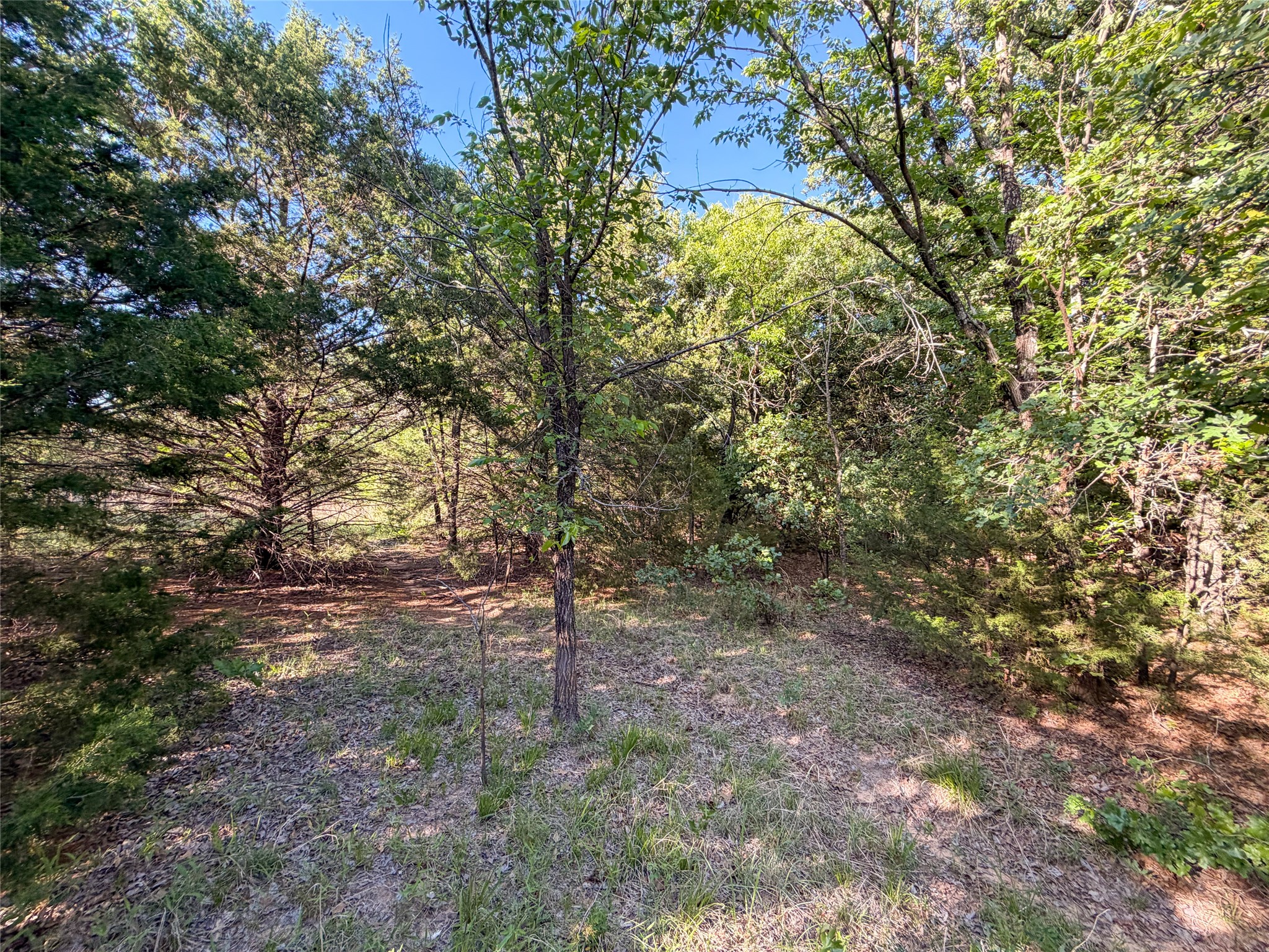 Tbd Farm To Market Road 1956 Nocona TX 76255