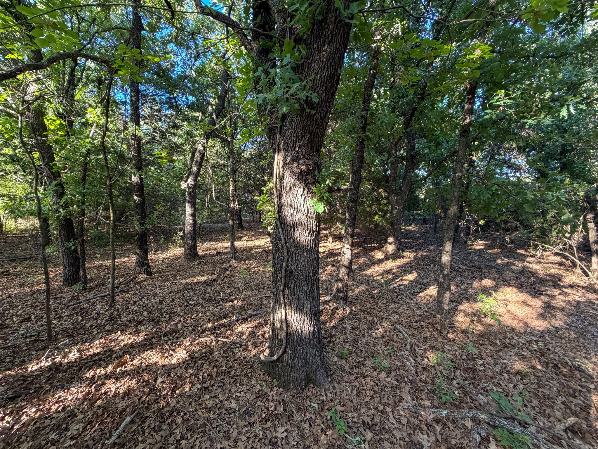 Tbd Farm To Market Road 1956 Nocona TX 76255