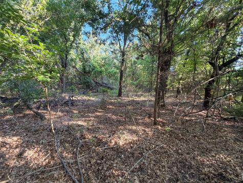 Tbd Farm To Market Road 1956 Nocona TX 76255