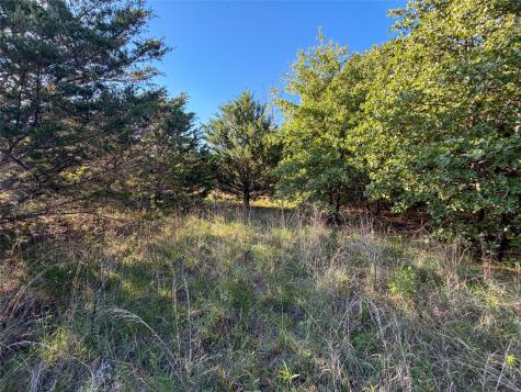 Tbd Farm To Market Road 1956 Nocona TX 76255