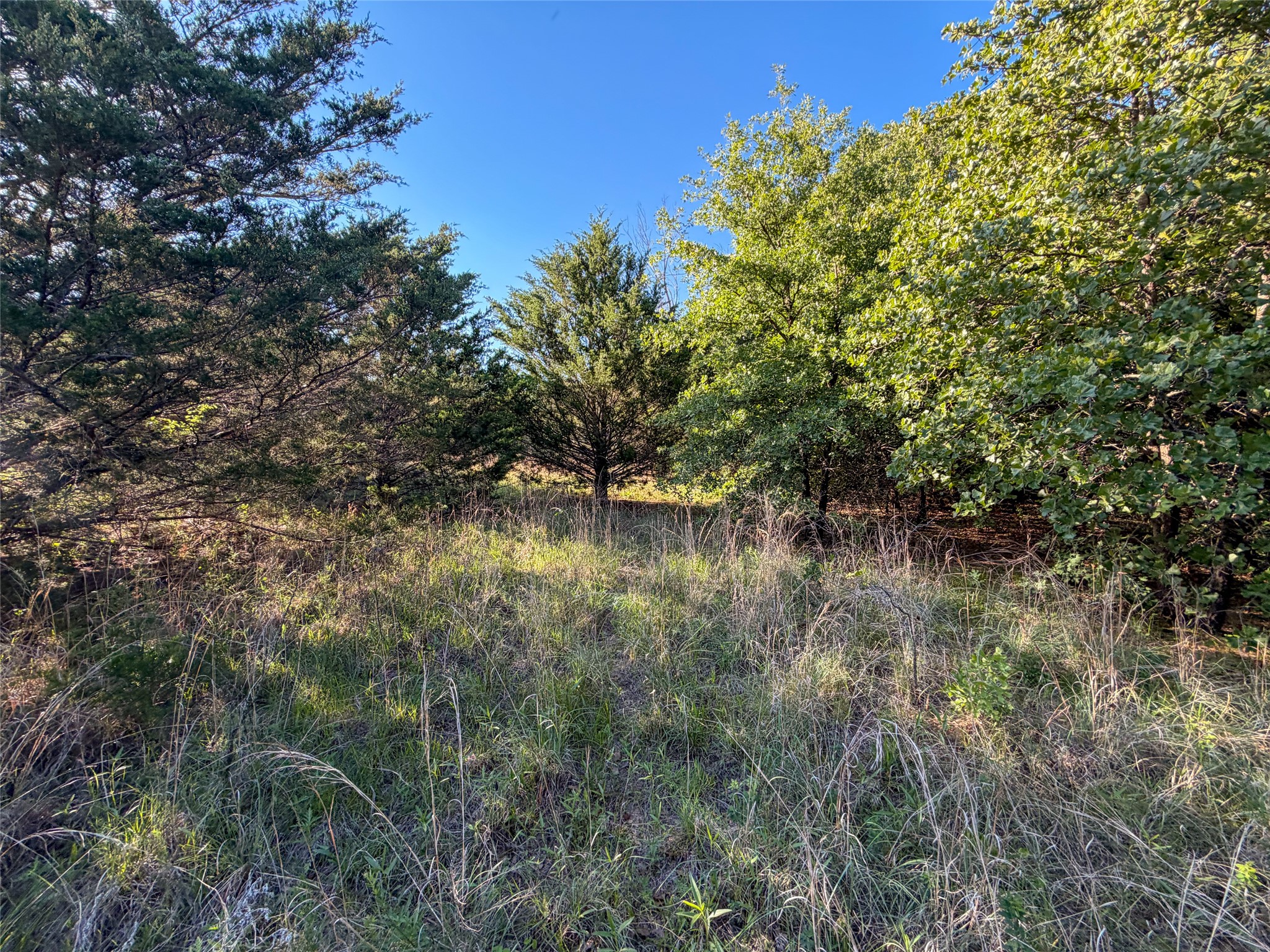 Tbd Farm To Market Road 1956 Nocona TX 76255
