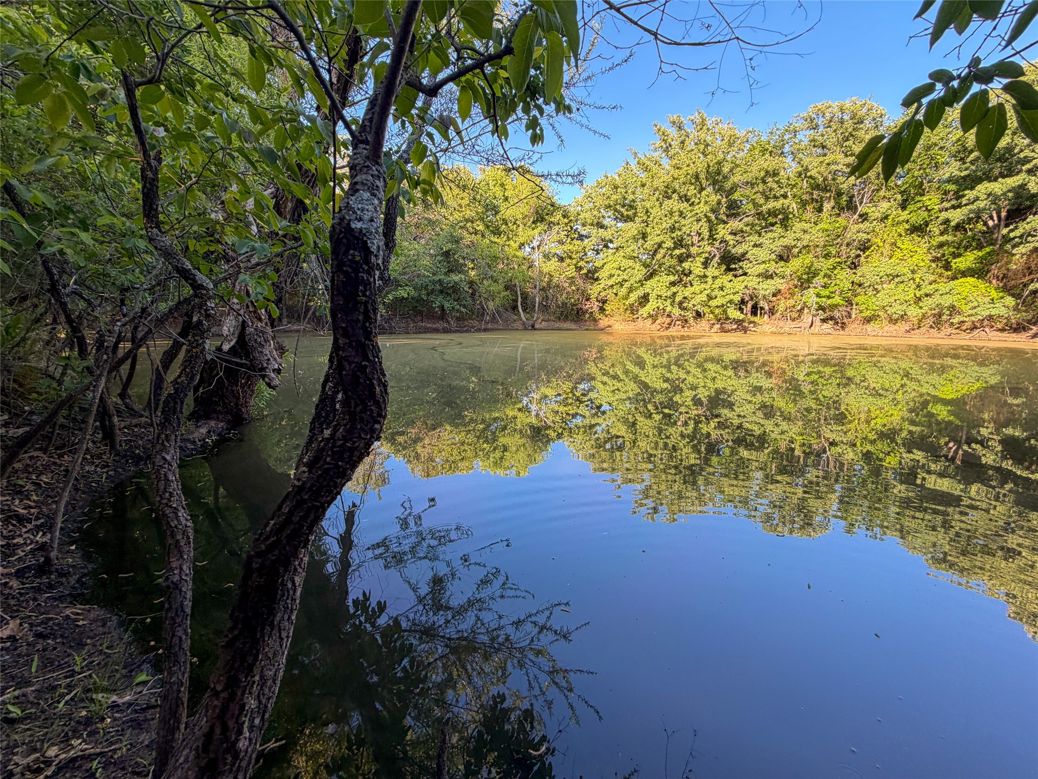 Tbd Farm To Market Road 1956 Nocona TX 76255