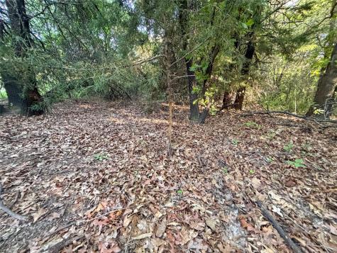Tbd Farm To Market Road 1956 Nocona TX 76255