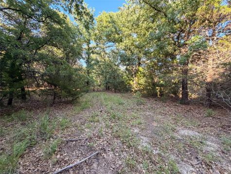 Tbd Farm To Market Road 1956 Nocona TX 76255
