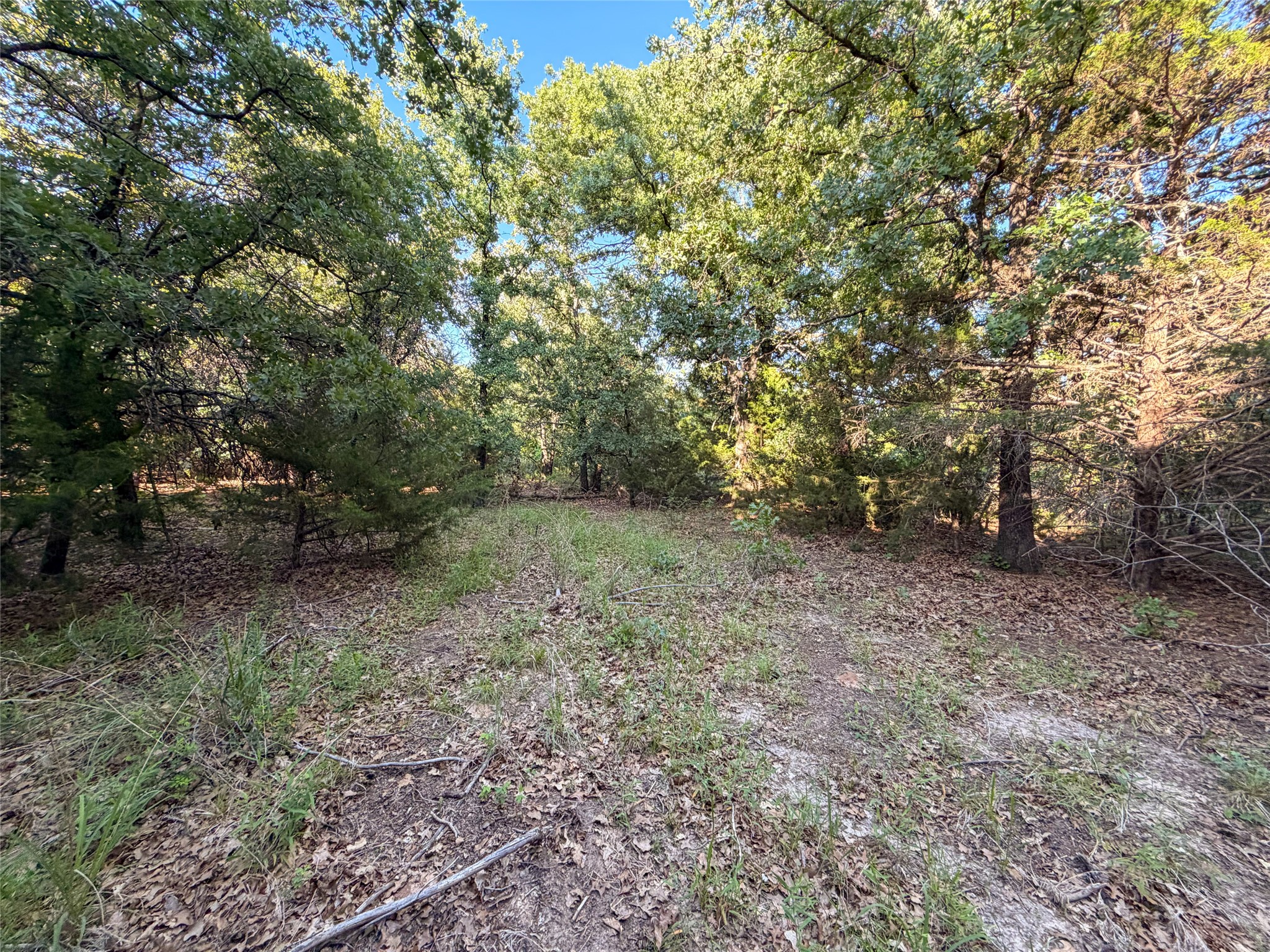 Tbd Farm To Market Road 1956 Nocona TX 76255