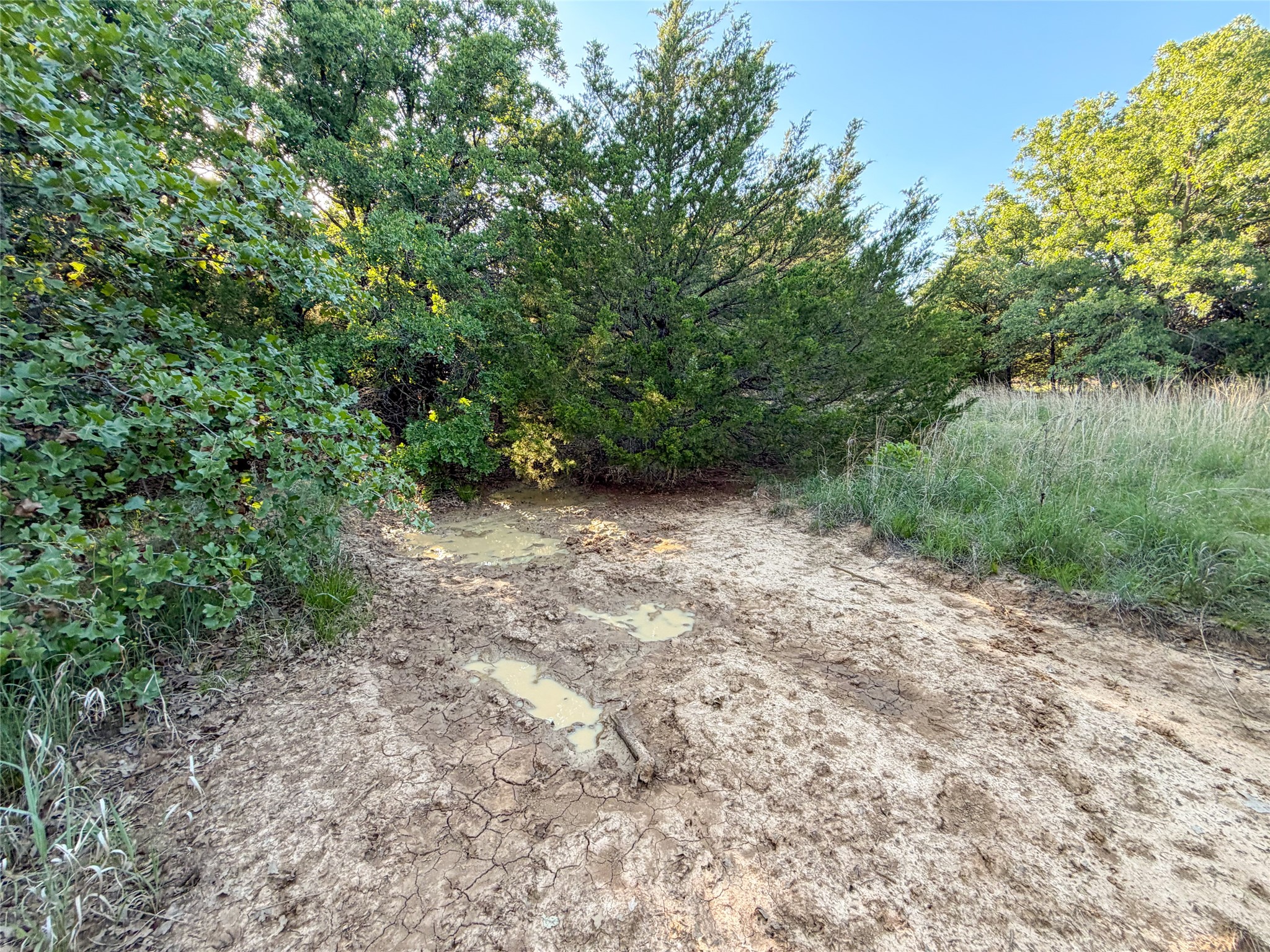 Tbd Farm To Market Road 1956 Nocona TX 76255