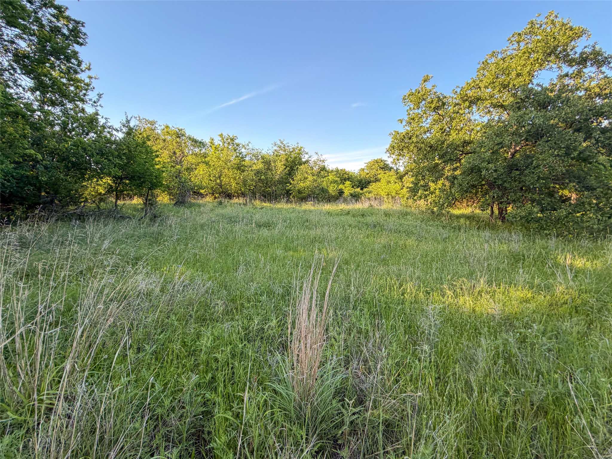 Tbd Farm To Market Road 1956 Nocona TX 76255