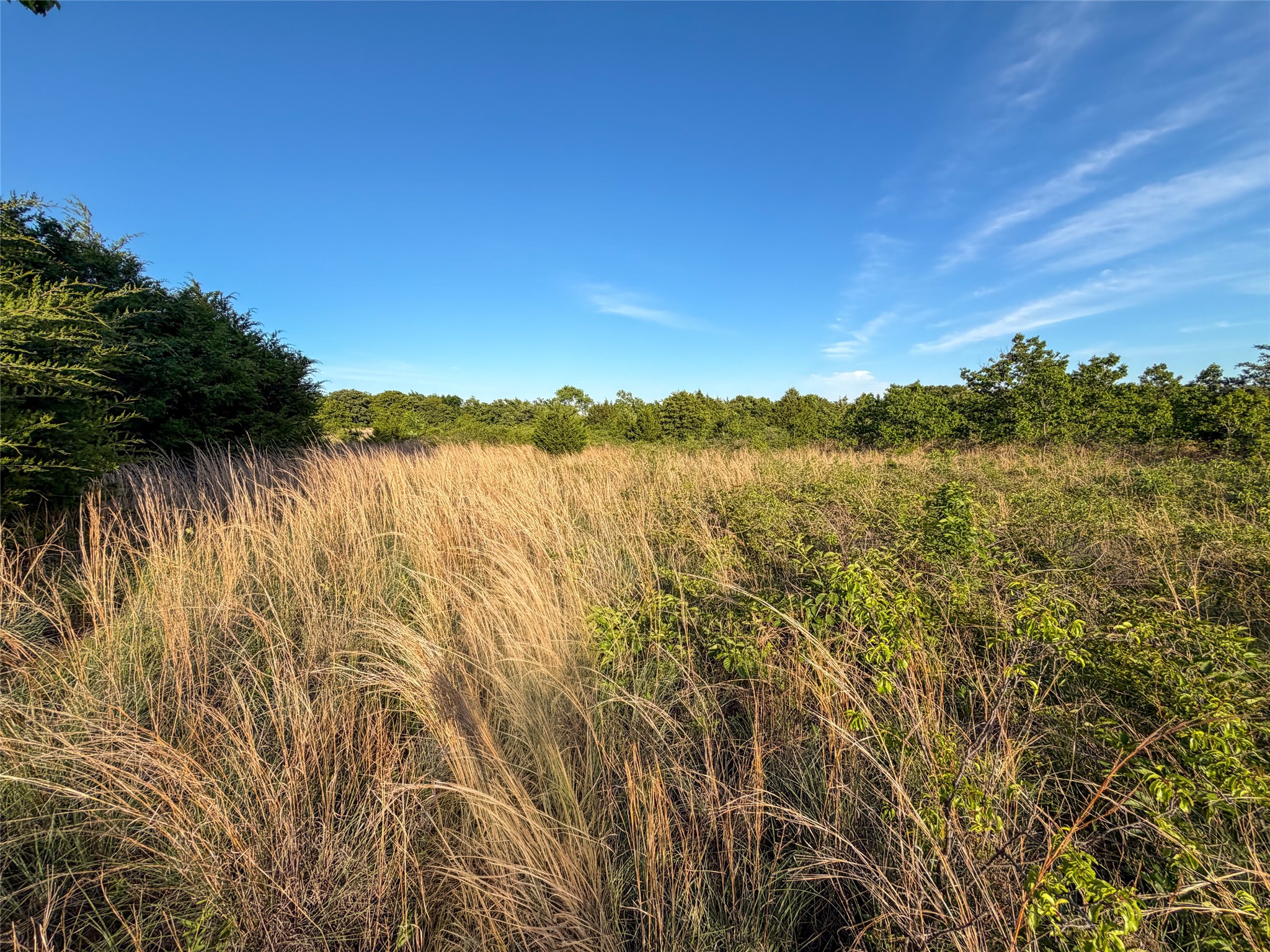 Tbd Farm To Market Road 1956 Nocona TX 76255