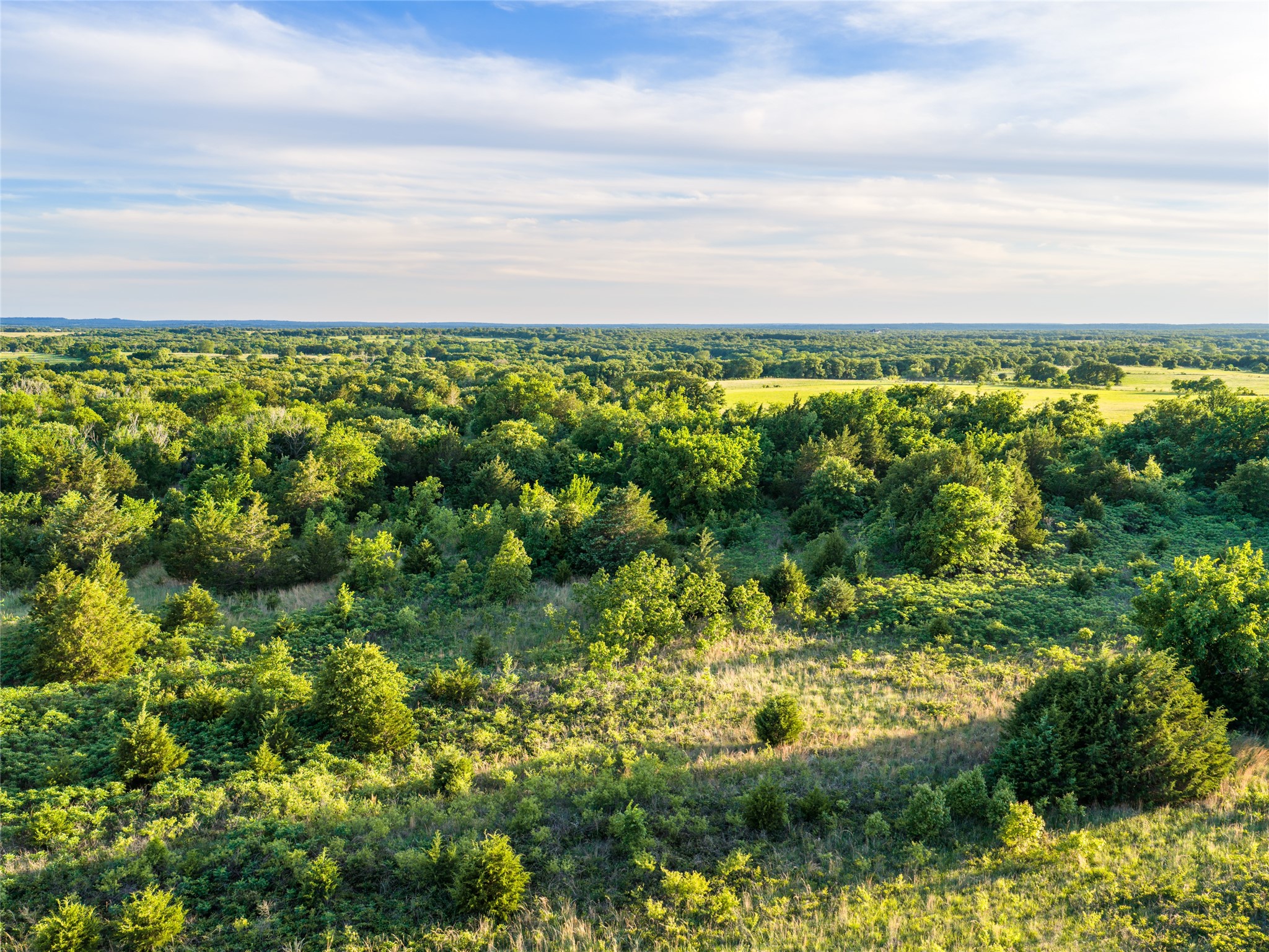 Tbd Farm To Market Road 1956 Nocona TX 76255
