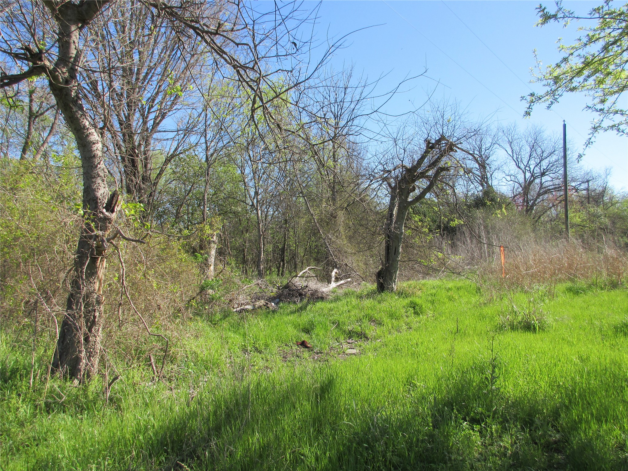 00 Westcott Marlin TX 76661