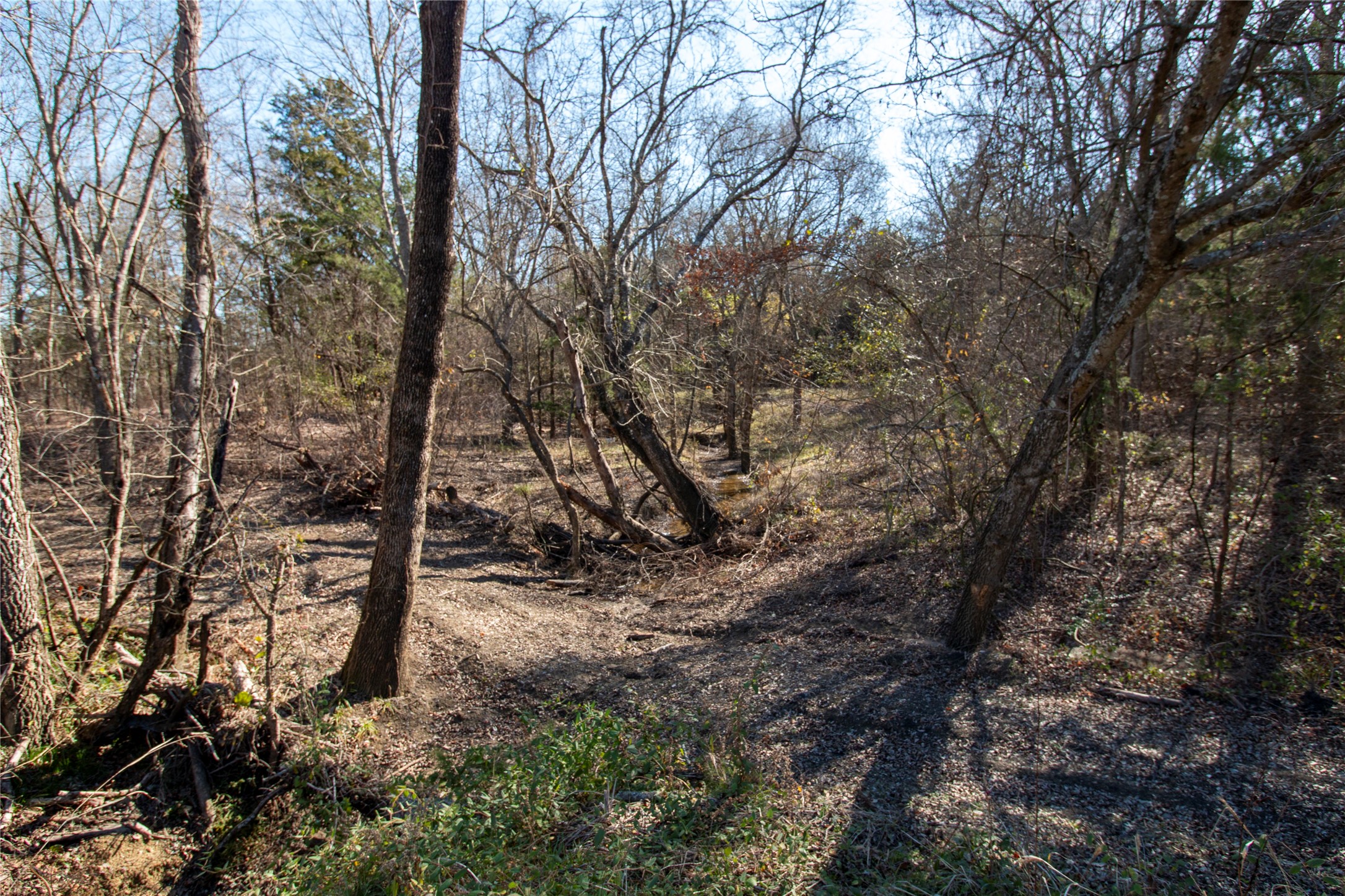 Lot 2 County Road 2905 Dodd City TX 75438