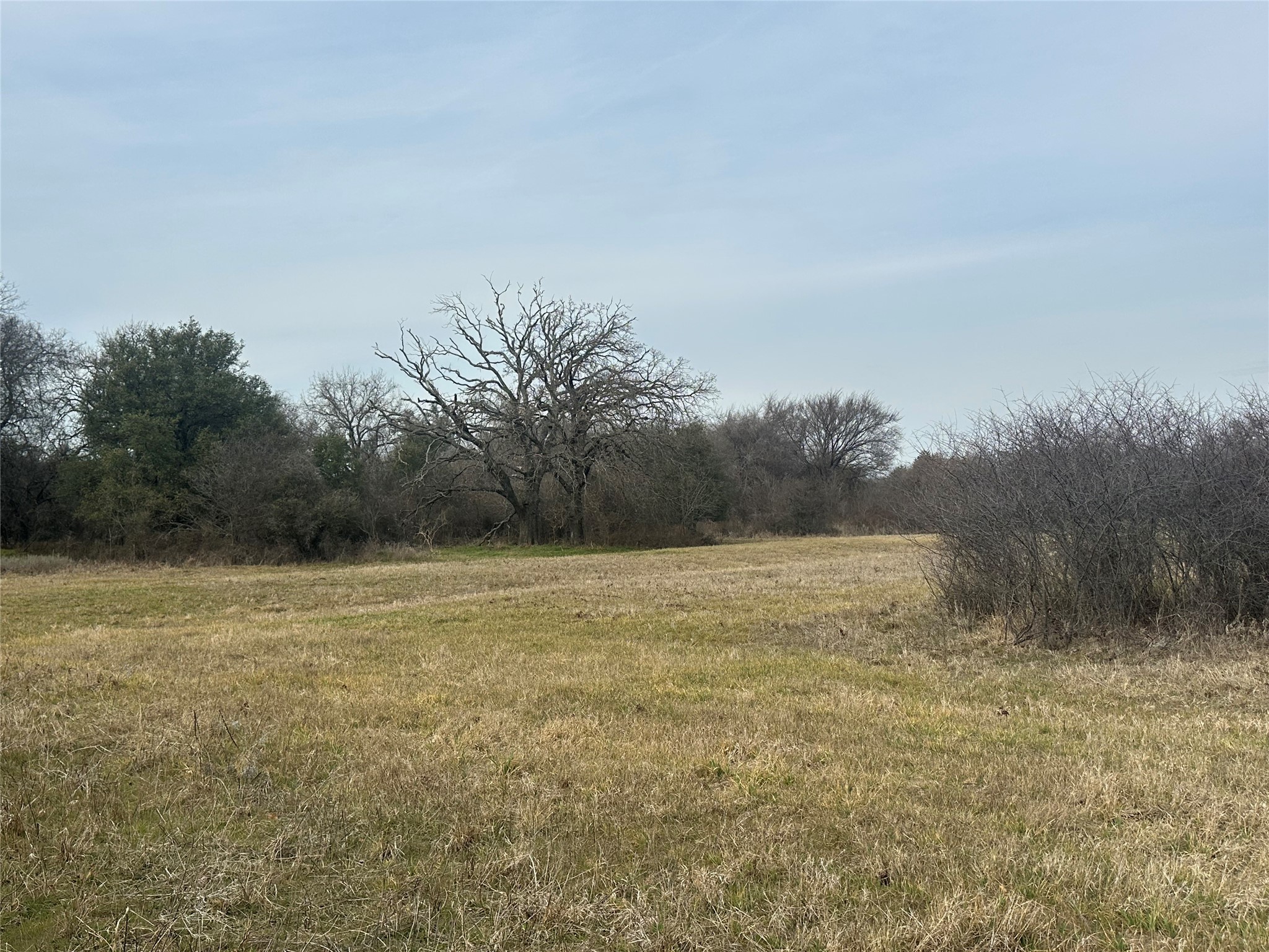 000 Hutcheson Springtown TX 76082