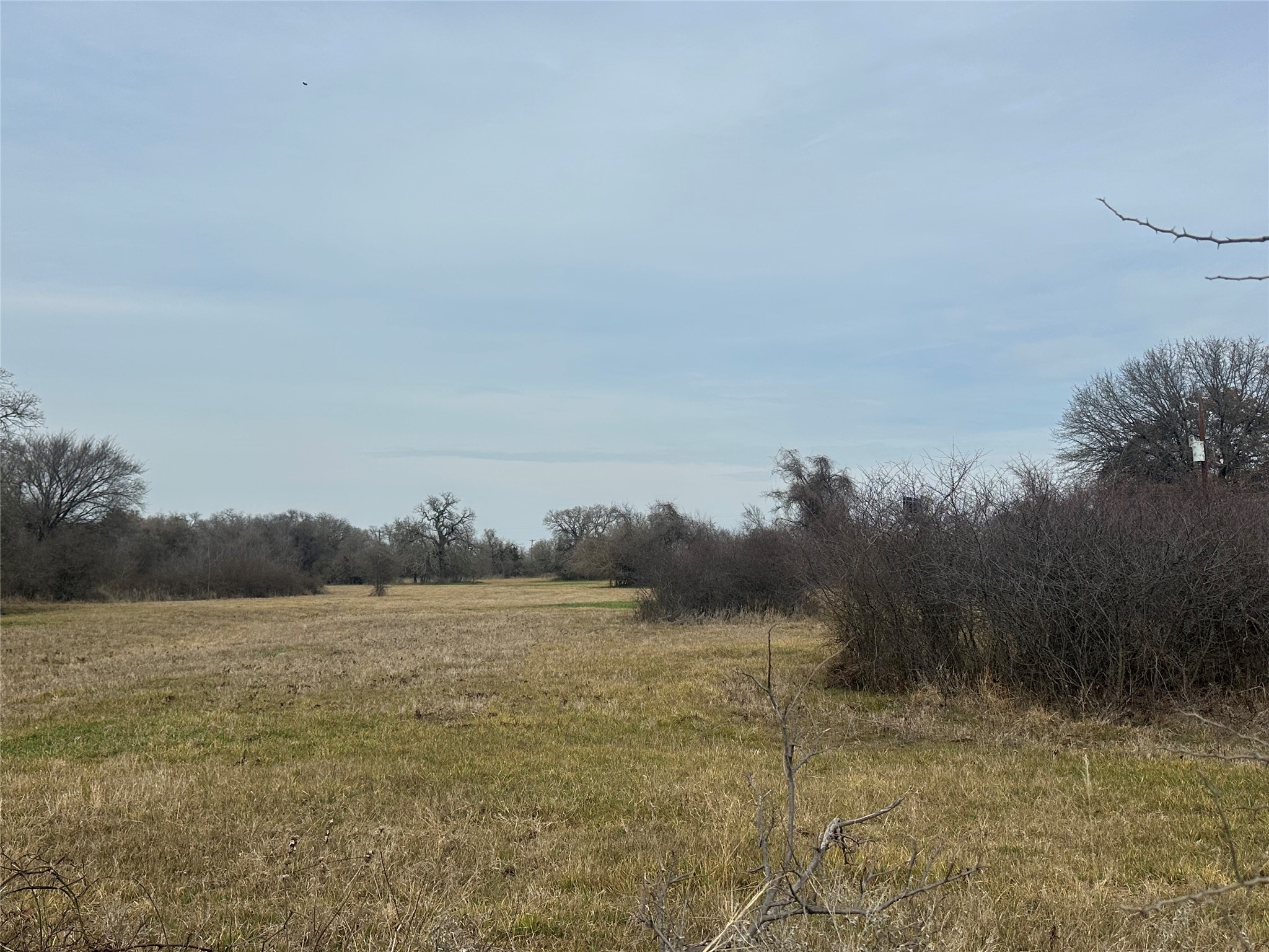 000 Hutcheson Springtown TX 76082