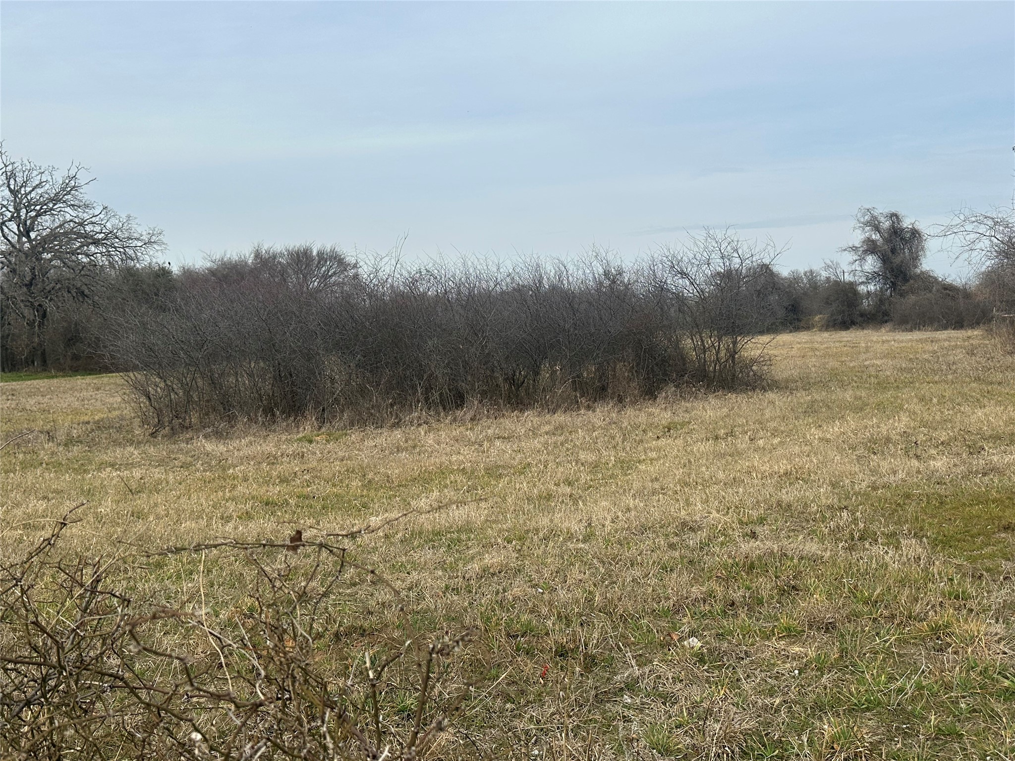 000 Hutcheson Springtown TX 76082