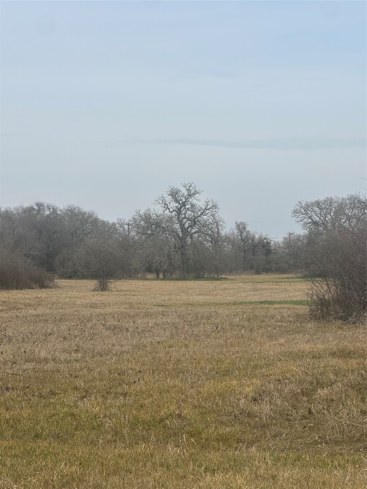 000 Hutcheson Springtown TX 76082