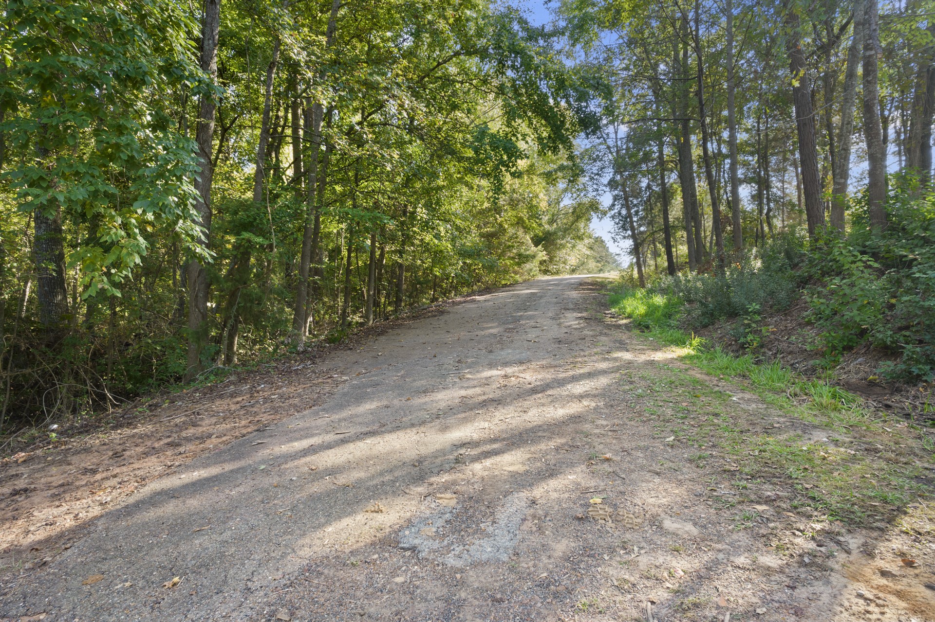 Tbd Charlya Drive Scroggins TX 75480