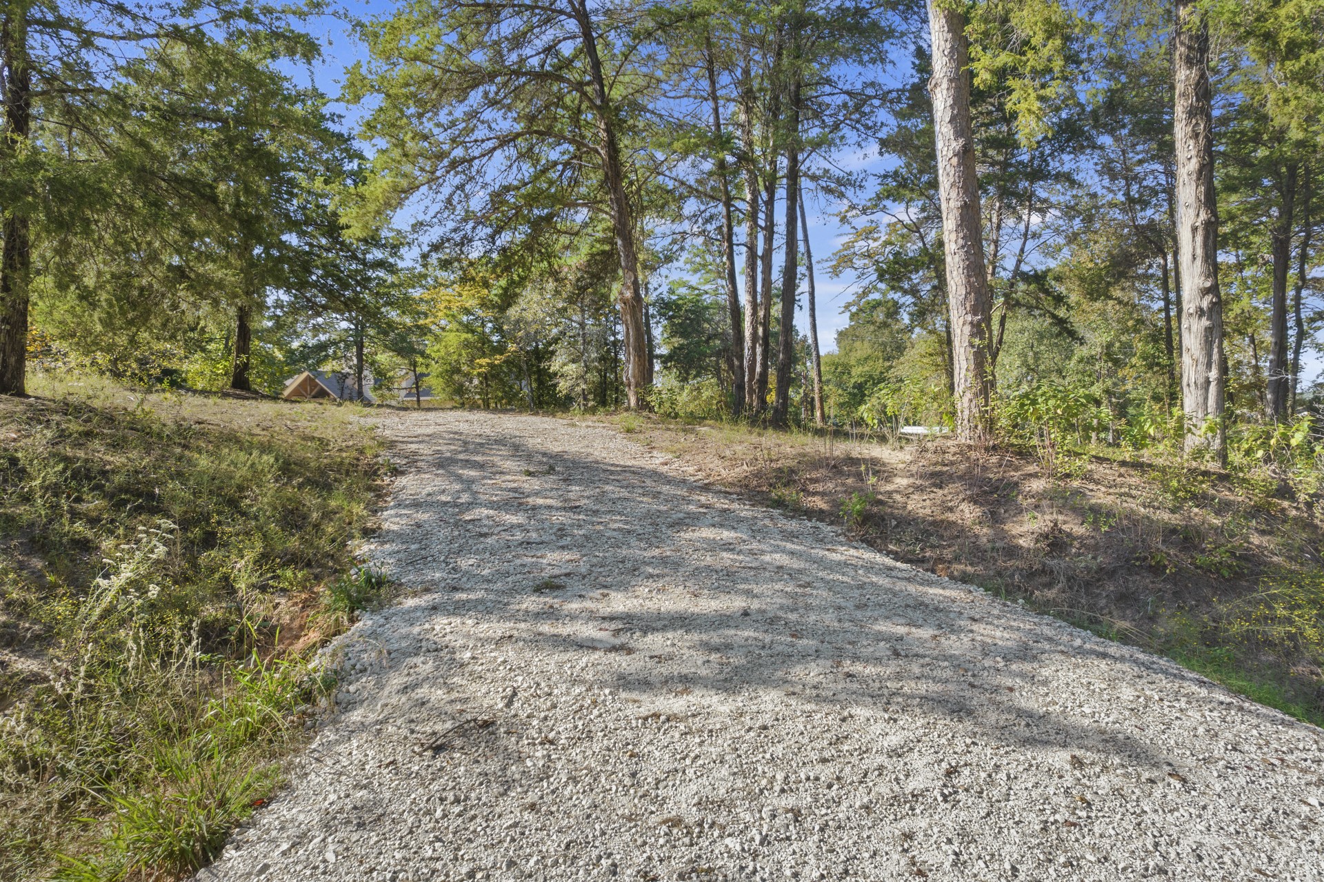 Tbd Charlya Drive Scroggins TX 75480