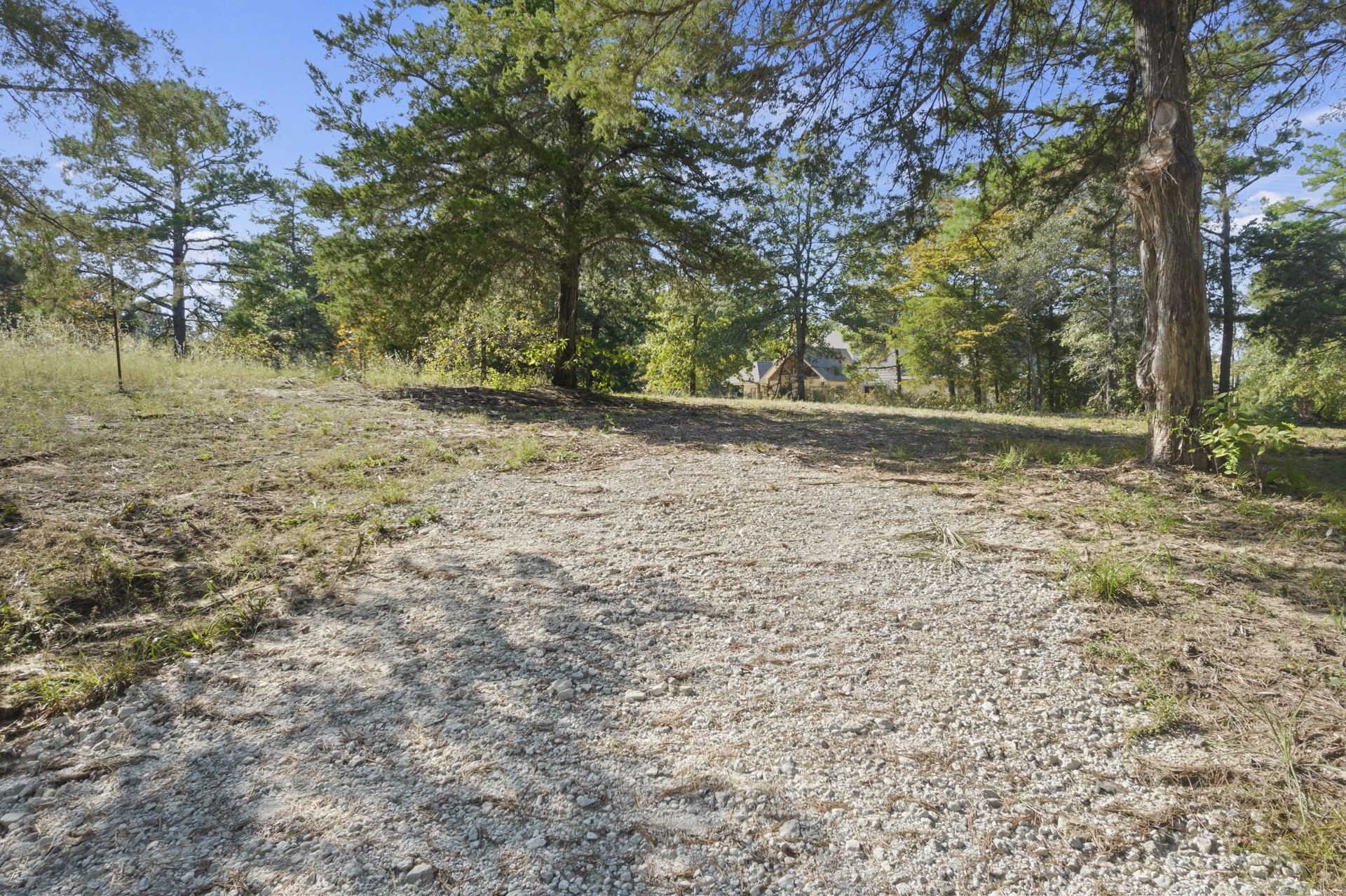 Tbd Charlya Drive Scroggins TX 75480