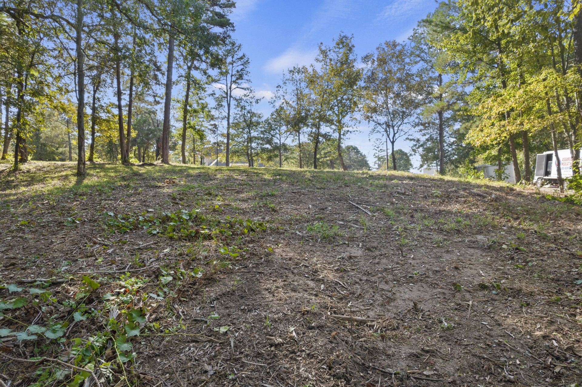 Tbd Charlya Drive Scroggins TX 75480