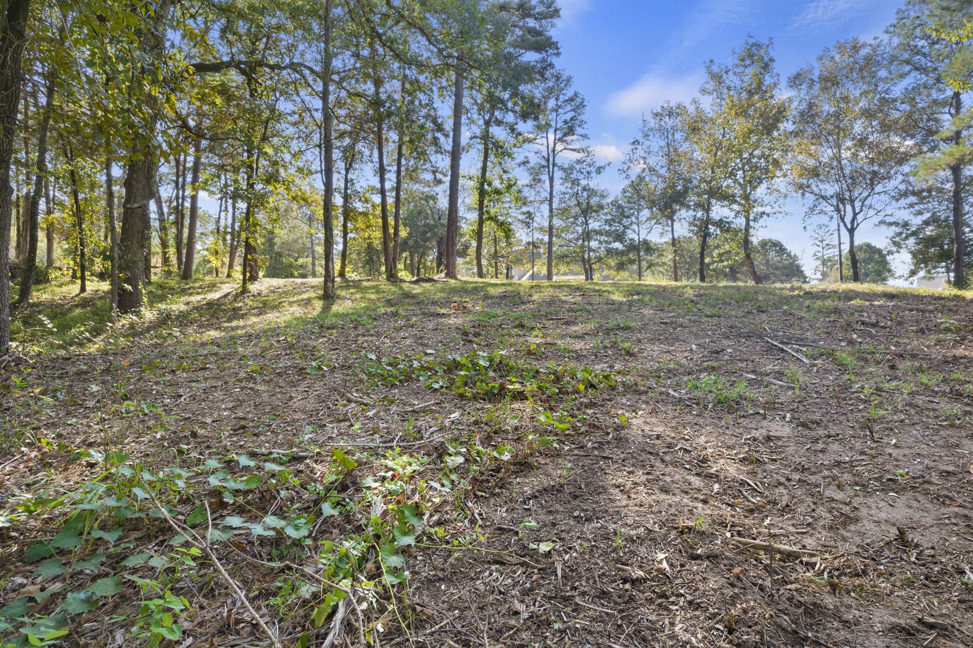 Tbd Charlya Drive Scroggins TX 75480