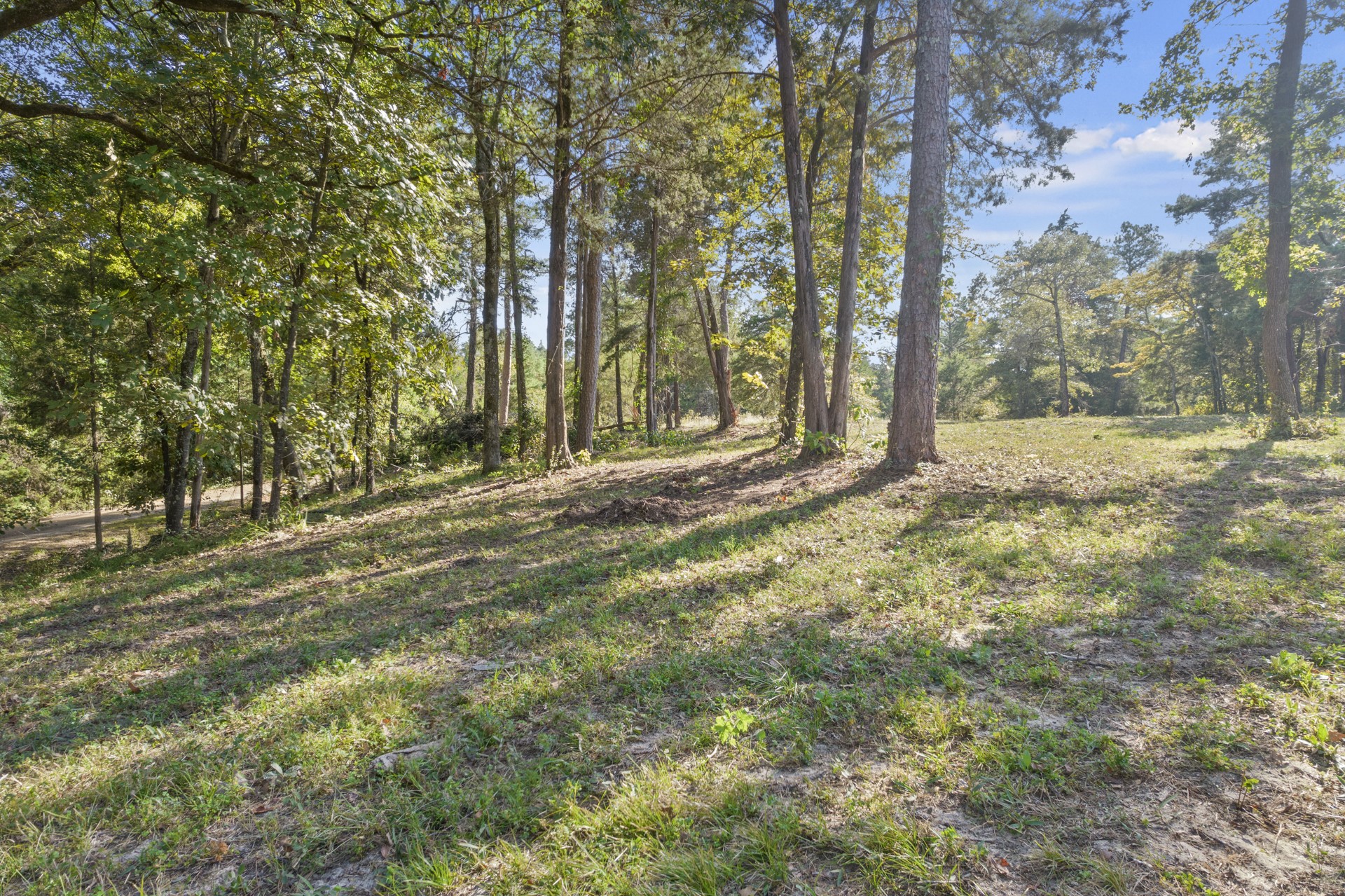 Tbd Charlya Drive Scroggins TX 75480