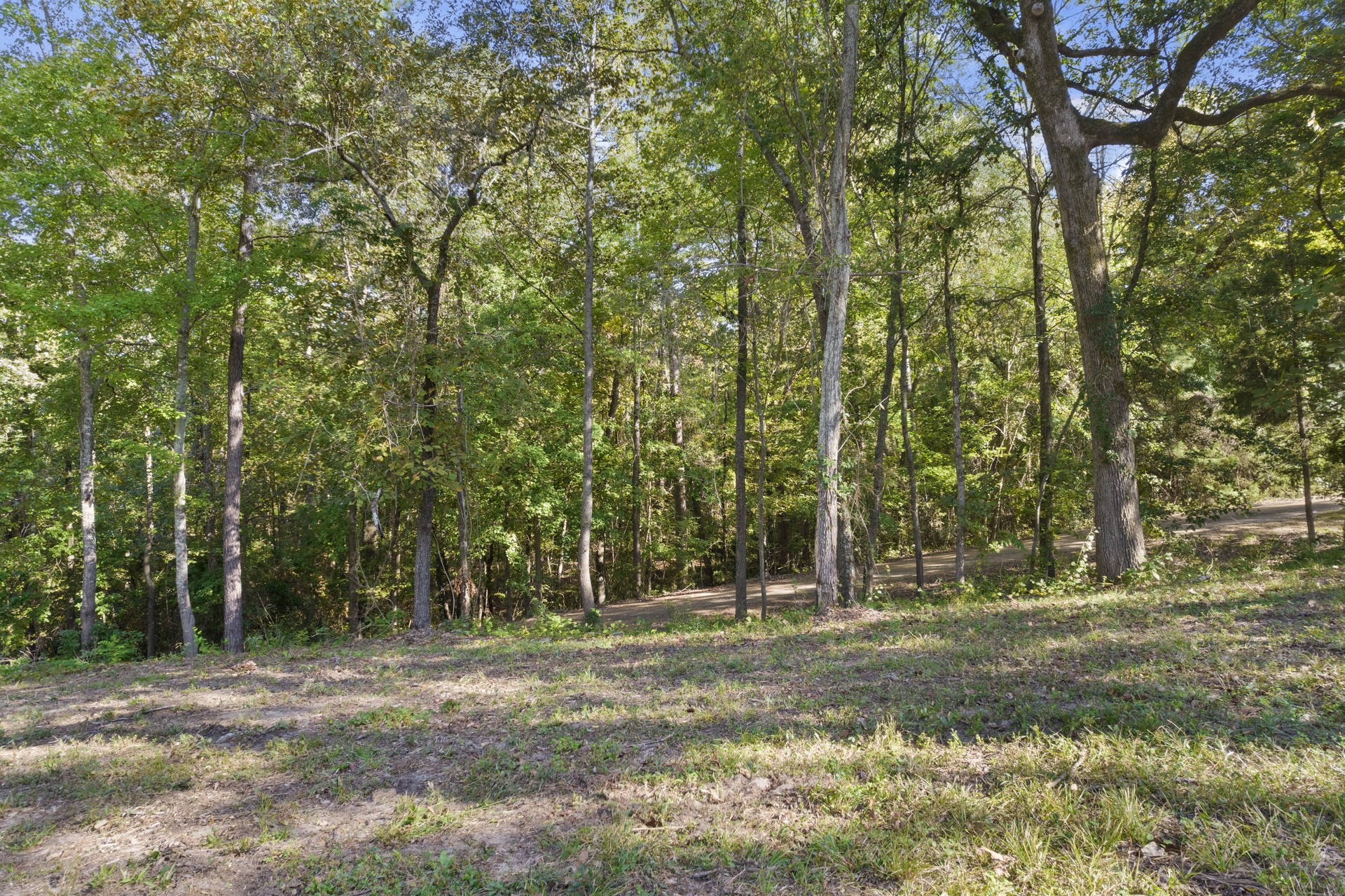 Tbd Charlya Drive Scroggins TX 75480