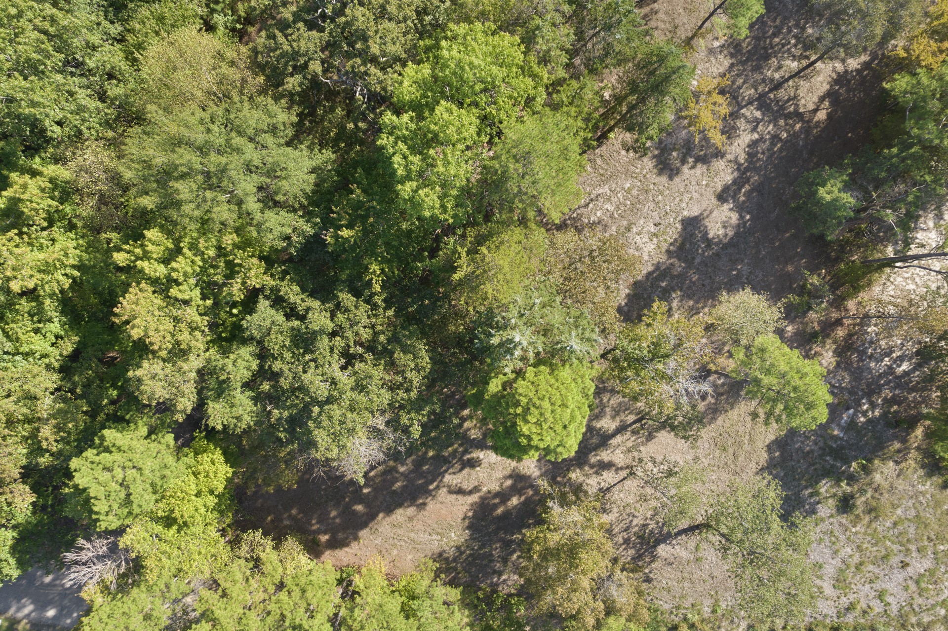 Tbd Charlya Drive Scroggins TX 75480